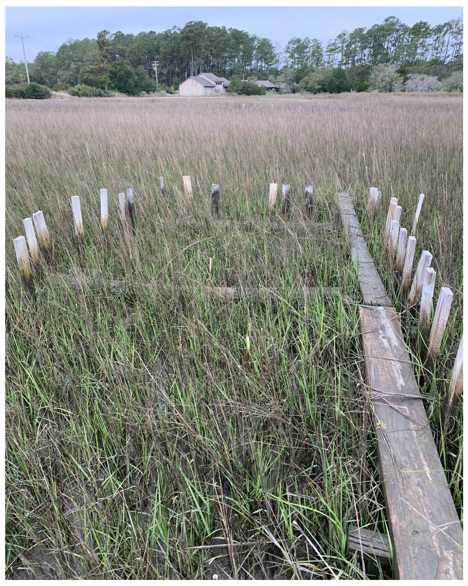 Remotesensing 17 02335 g002