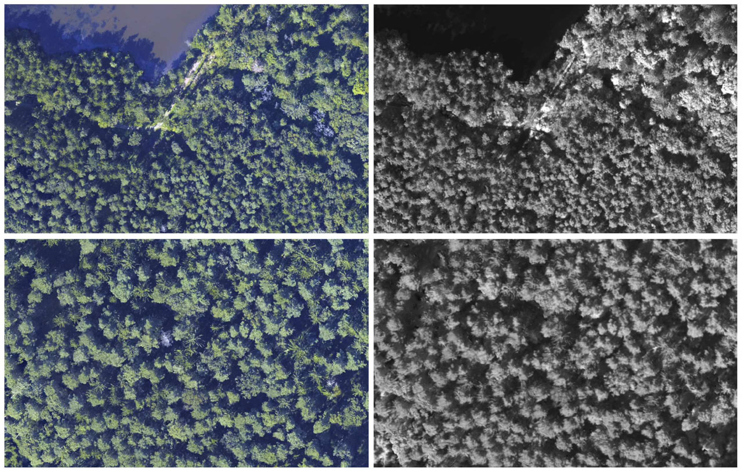 Remotesensing 17 02847 g002 Remotesensing 17 02847 g002