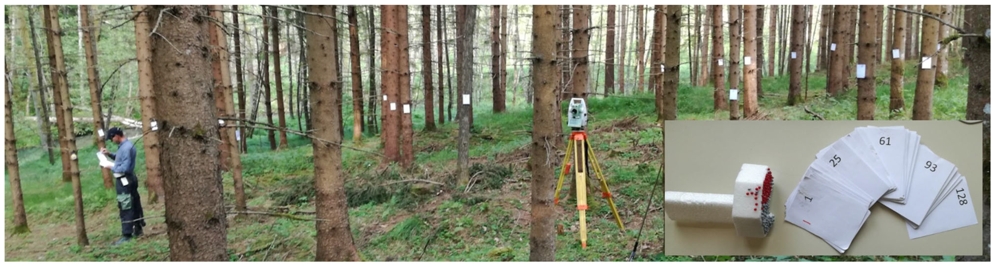 Remotesensing 17 02847 g004 Remotesensing 17 02847 g004