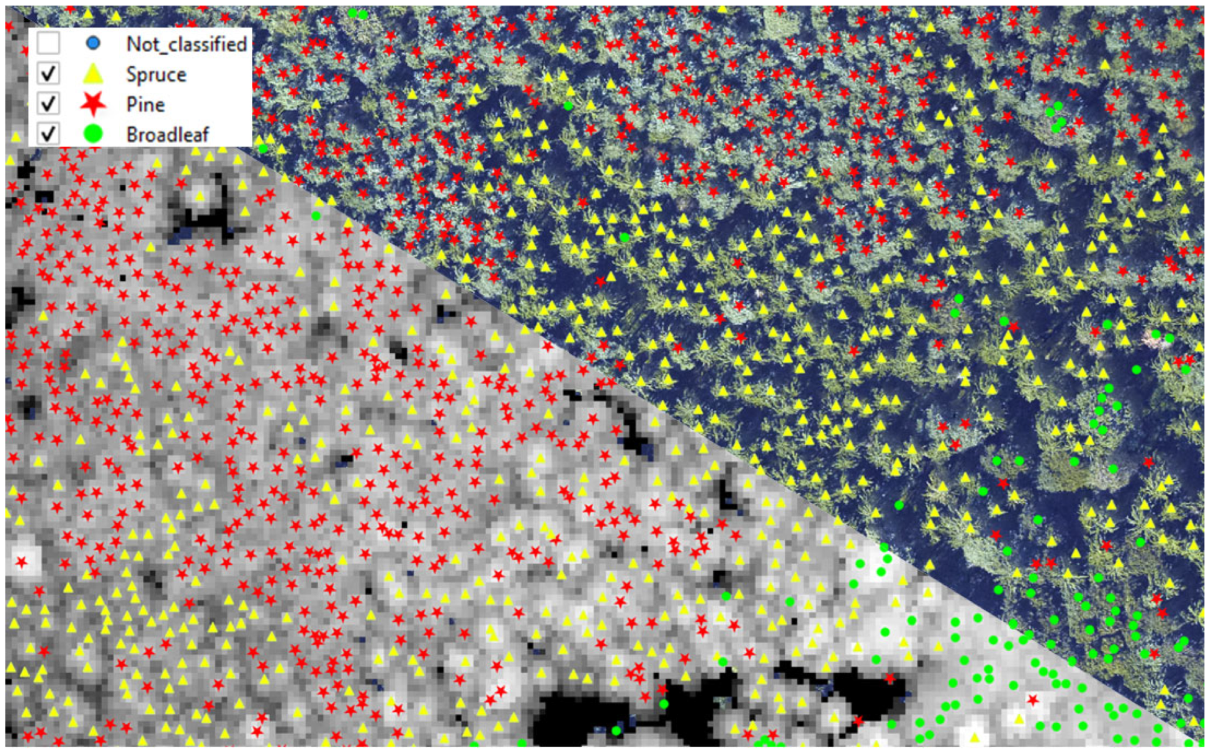 Remotesensing 17 02847 g013 Remotesensing 17 02847 g013