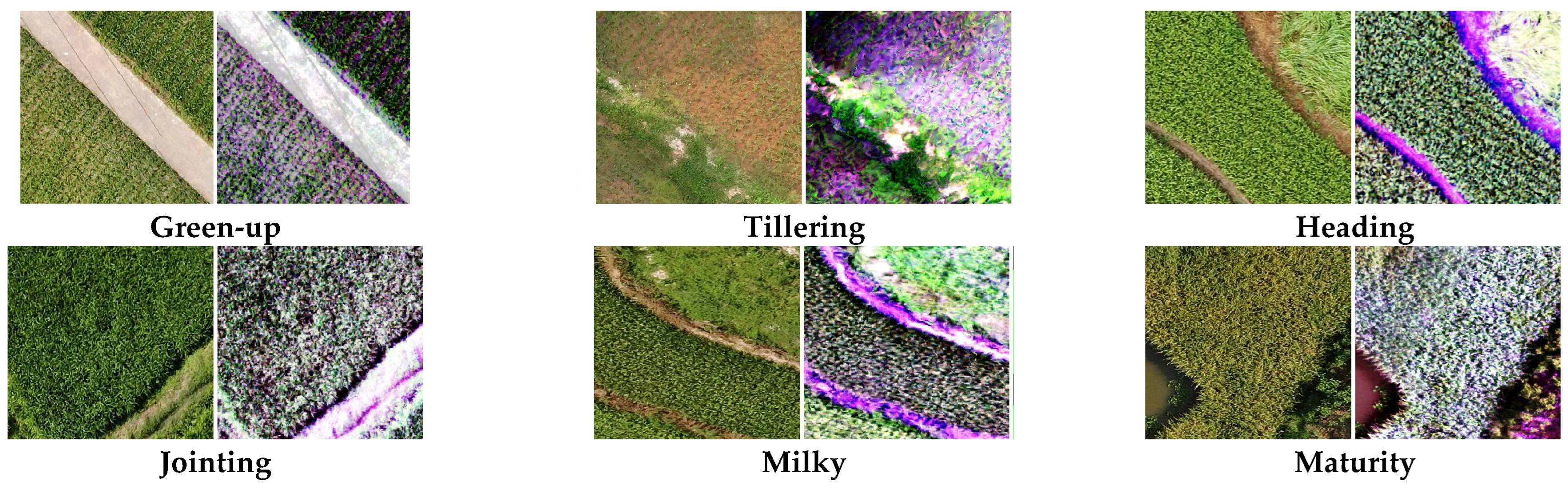 Remotesensing 17 02858 g002 Remotesensing 17 02858 g002