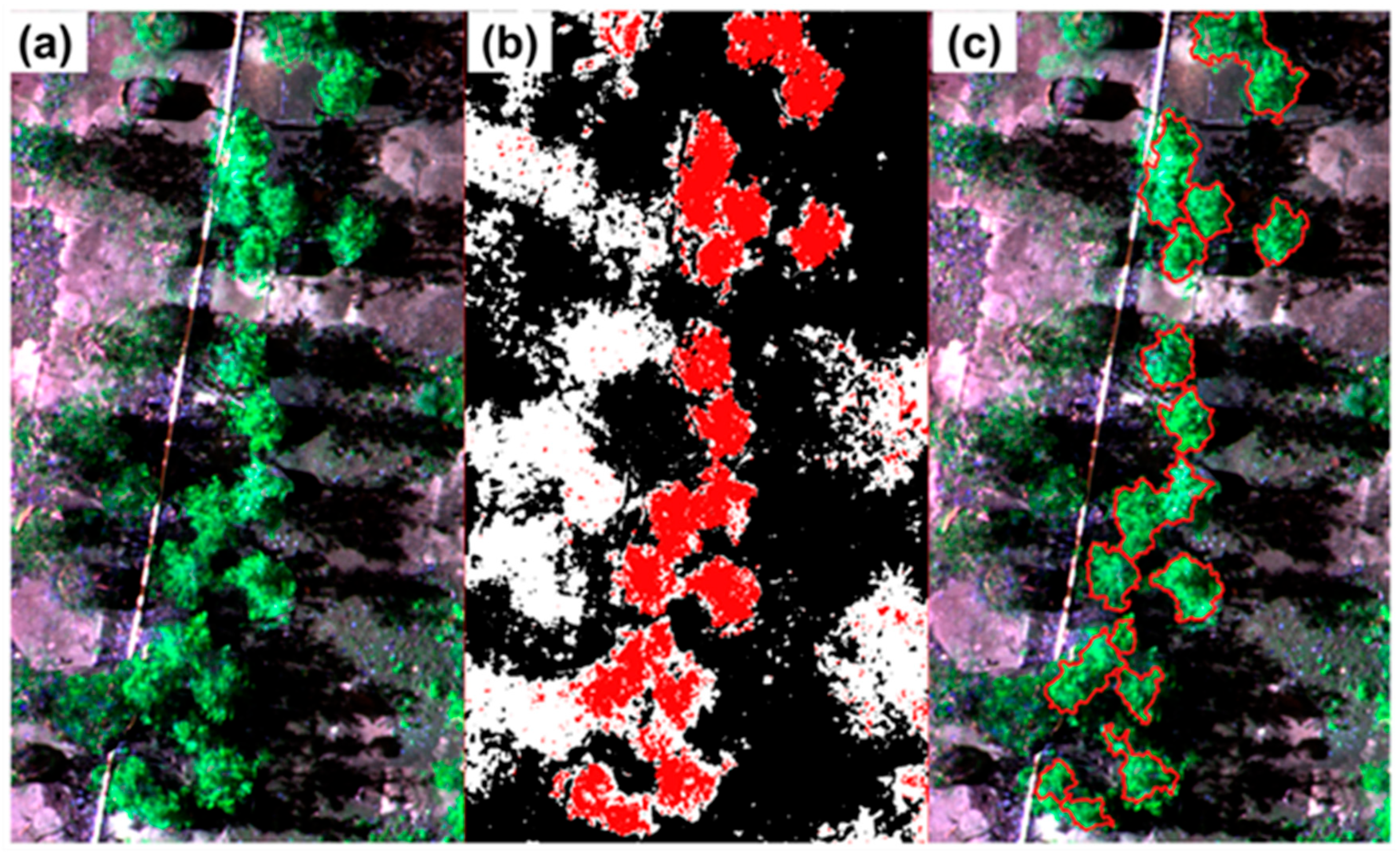 Remotesensing 17 03454 g007 Remotesensing 17 03454 g007
