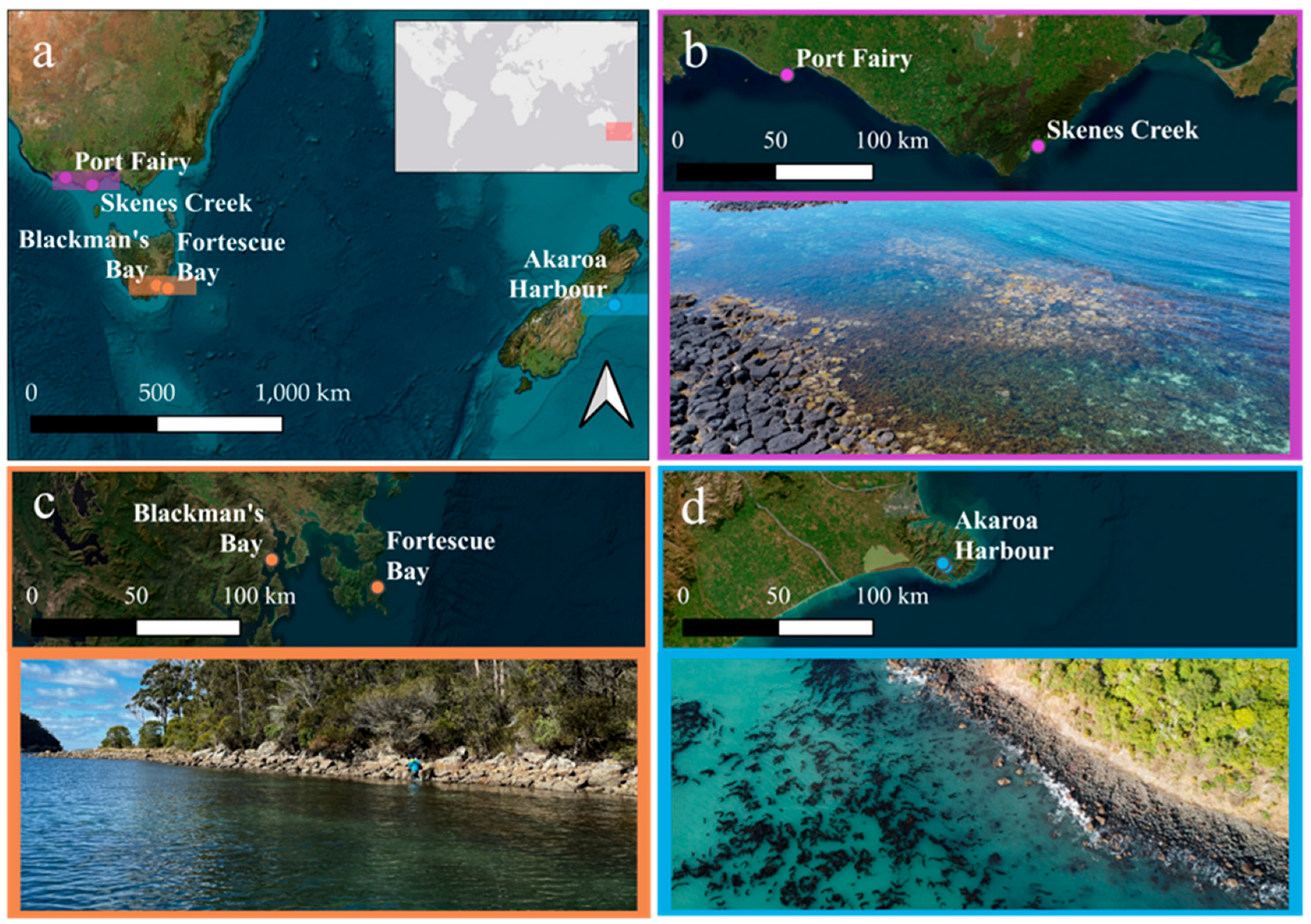 Remotesensing 17 03491 g002 Remotesensing 17 03491 g002