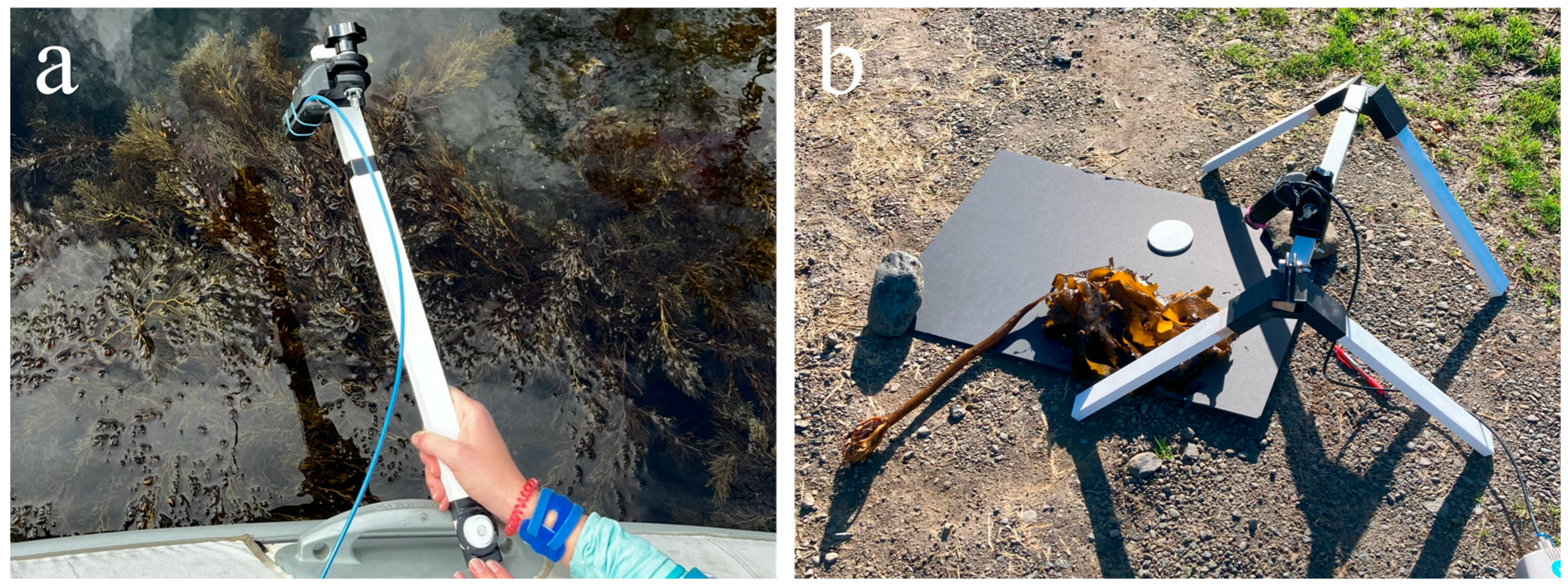 Remotesensing 17 03491 g003 Remotesensing 17 03491 g003