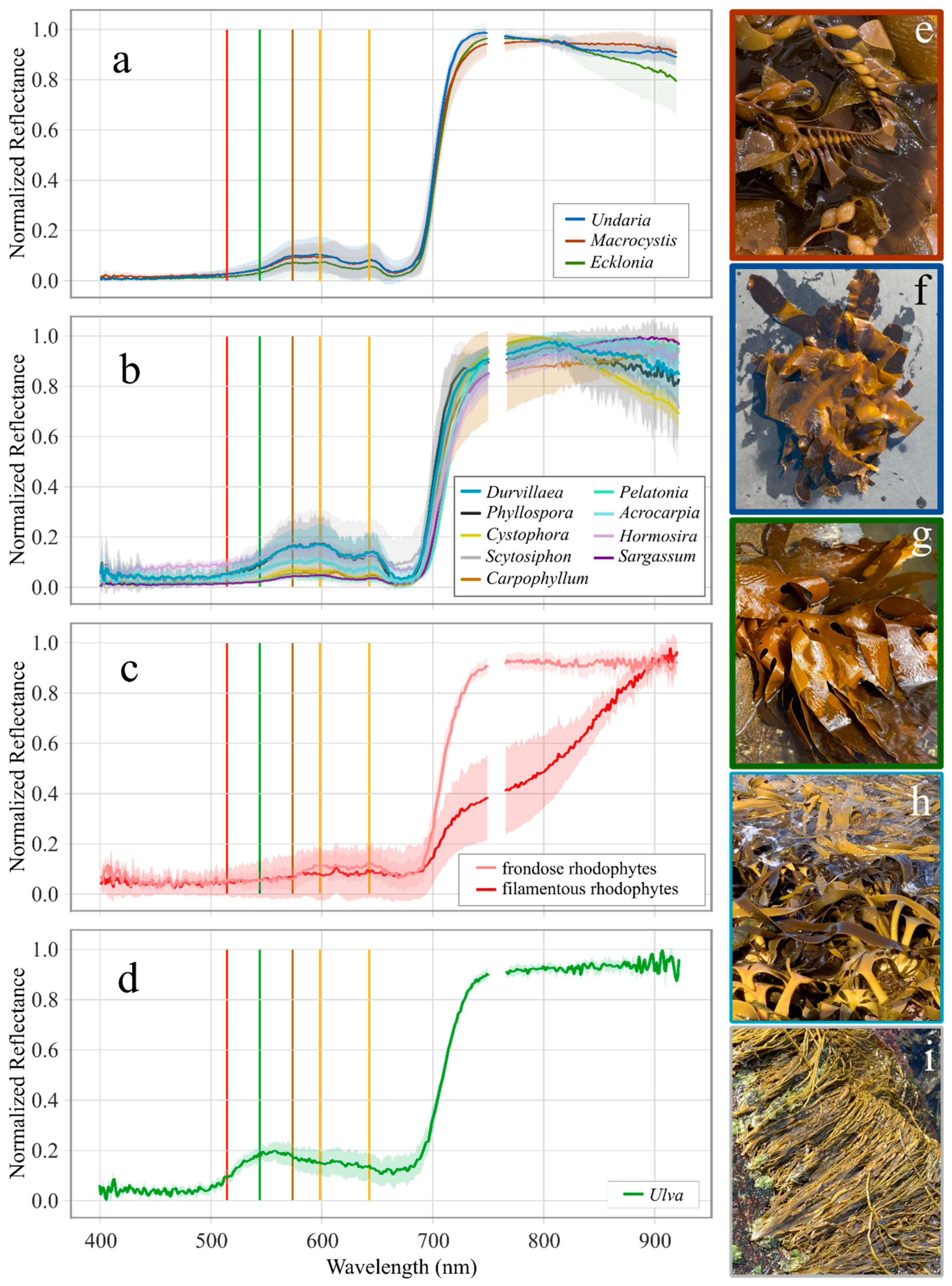 Remotesensing 17 03491 g004 Remotesensing 17 03491 g004