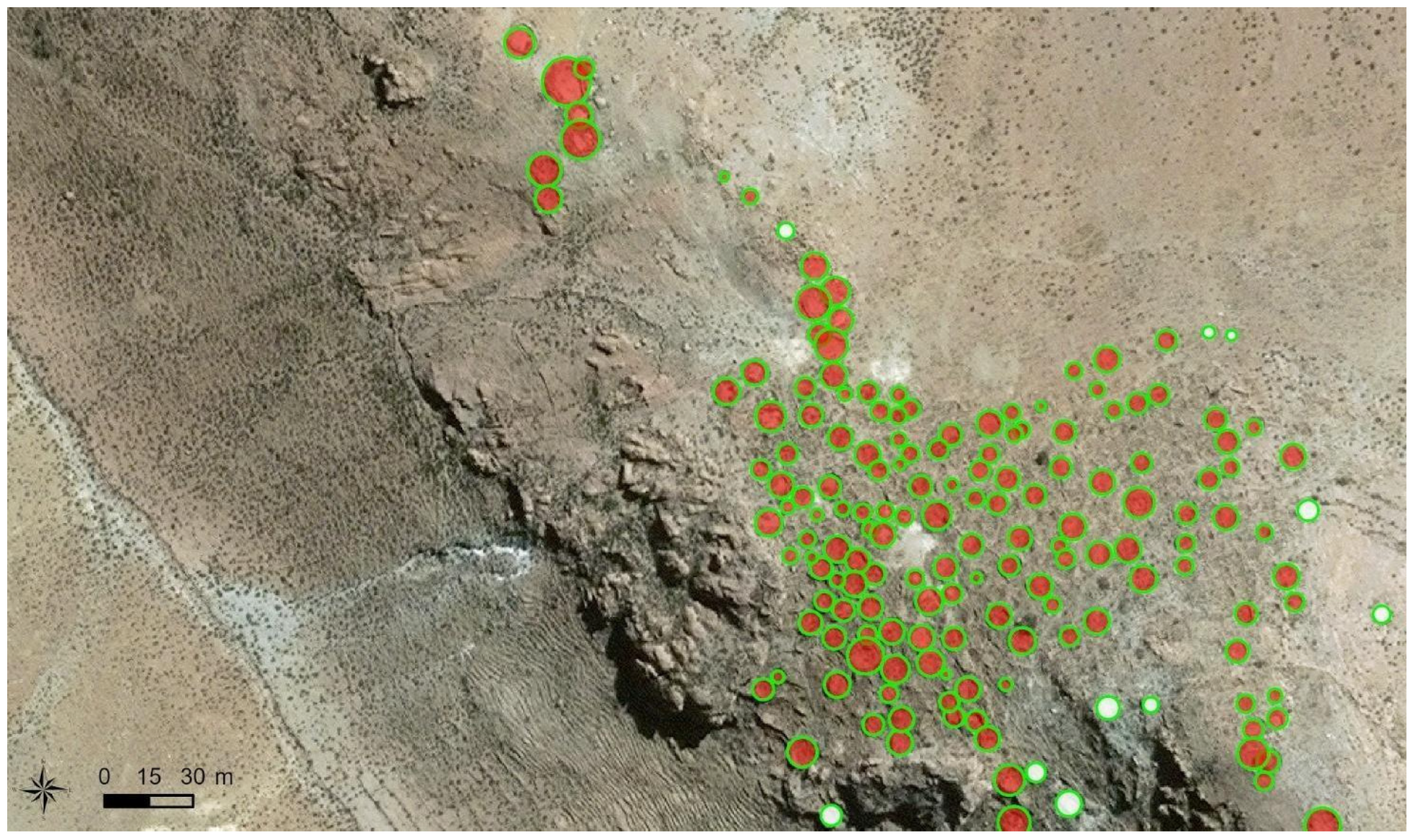 Remotesensing 17 03499 g007 Remotesensing 17 03499 g007