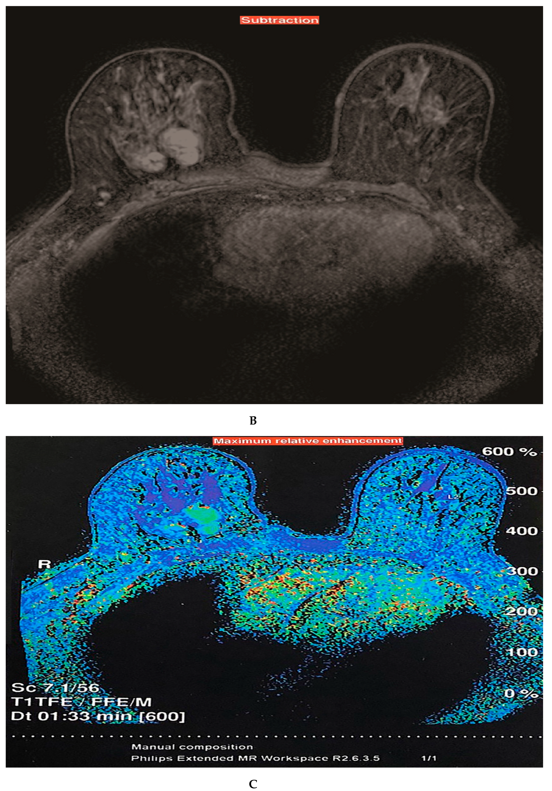Reports 03 00015 g002b Reports 03 00015 g002b