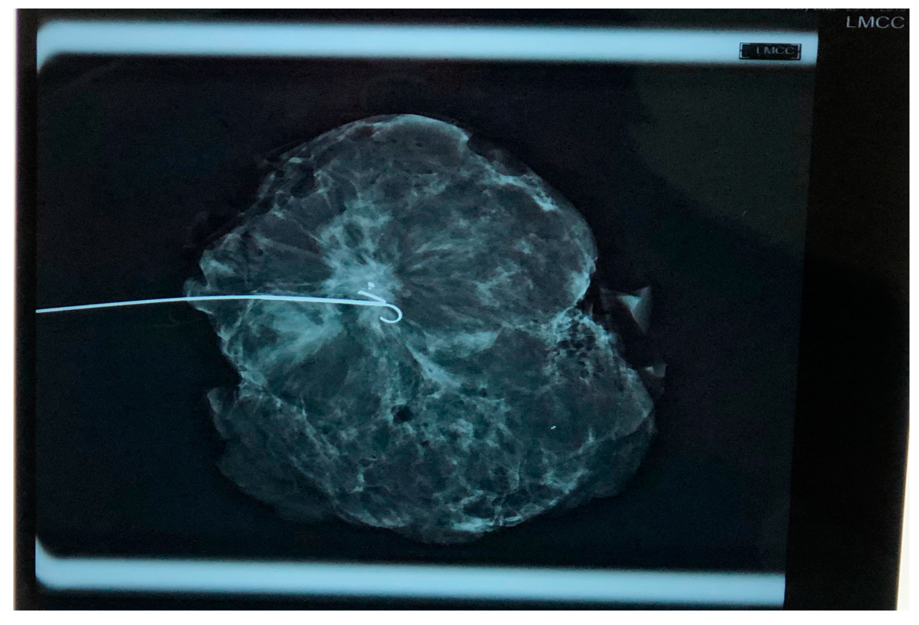 Reports 03 00015 g003 Reports 03 00015 g003