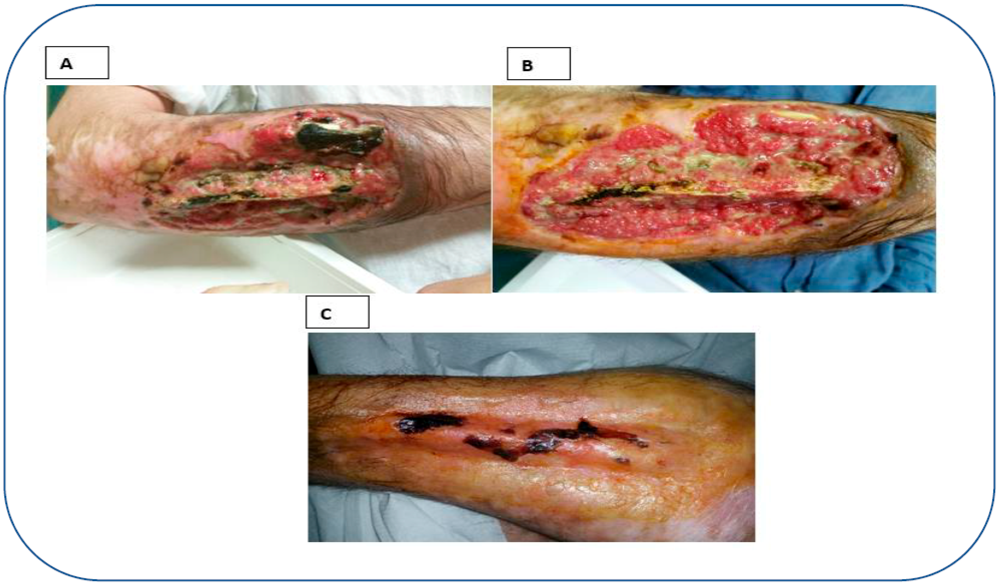 Reports 06 00034 g001 Reports 06 00034 g001