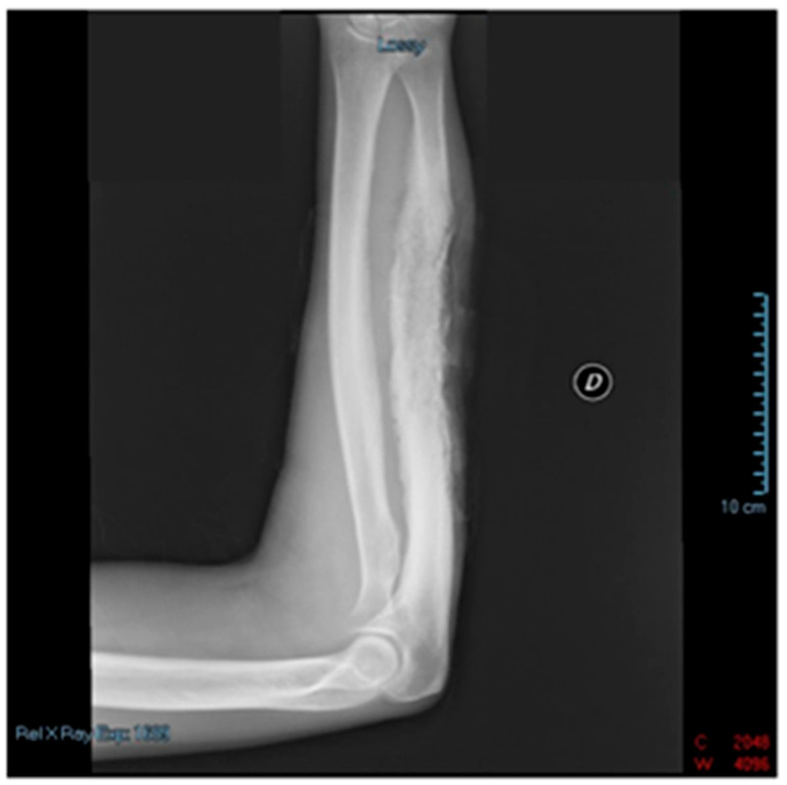 Reports 06 00034 g002 Reports 06 00034 g002