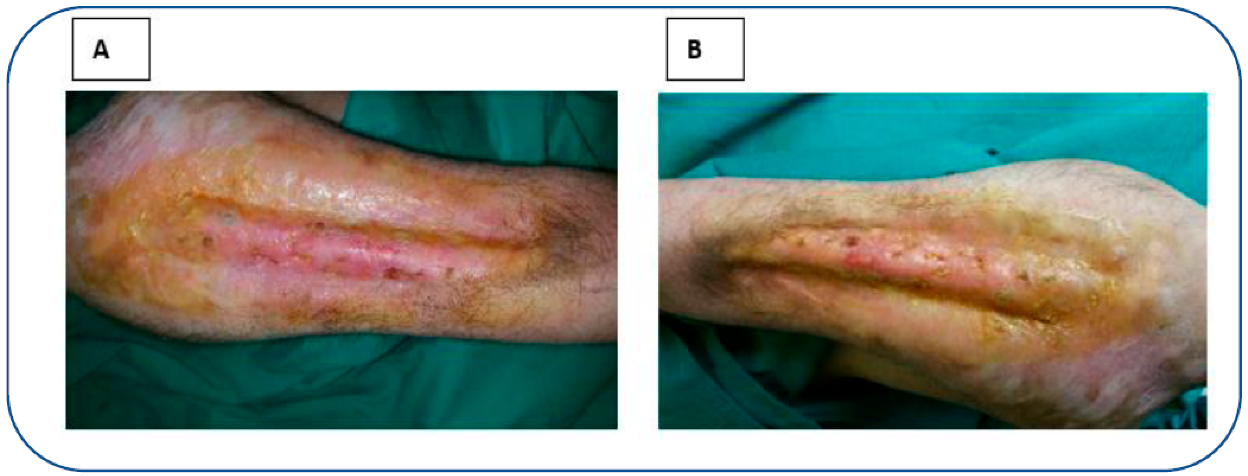 Reports 06 00034 g003 Reports 06 00034 g003