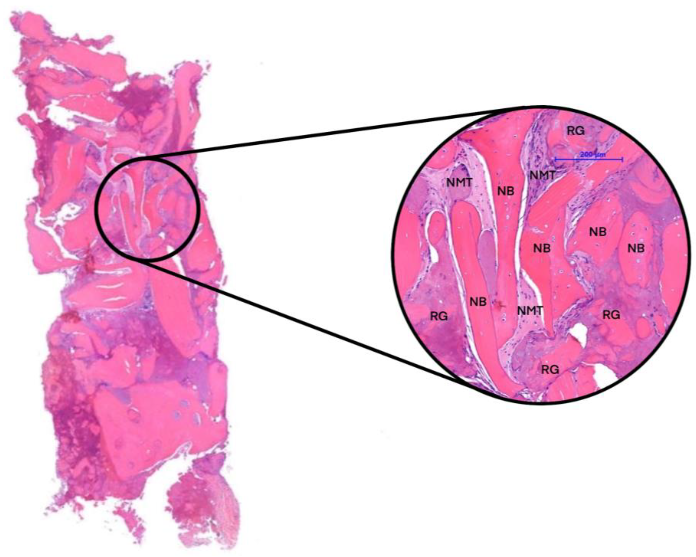 Reports 07 00007 g005