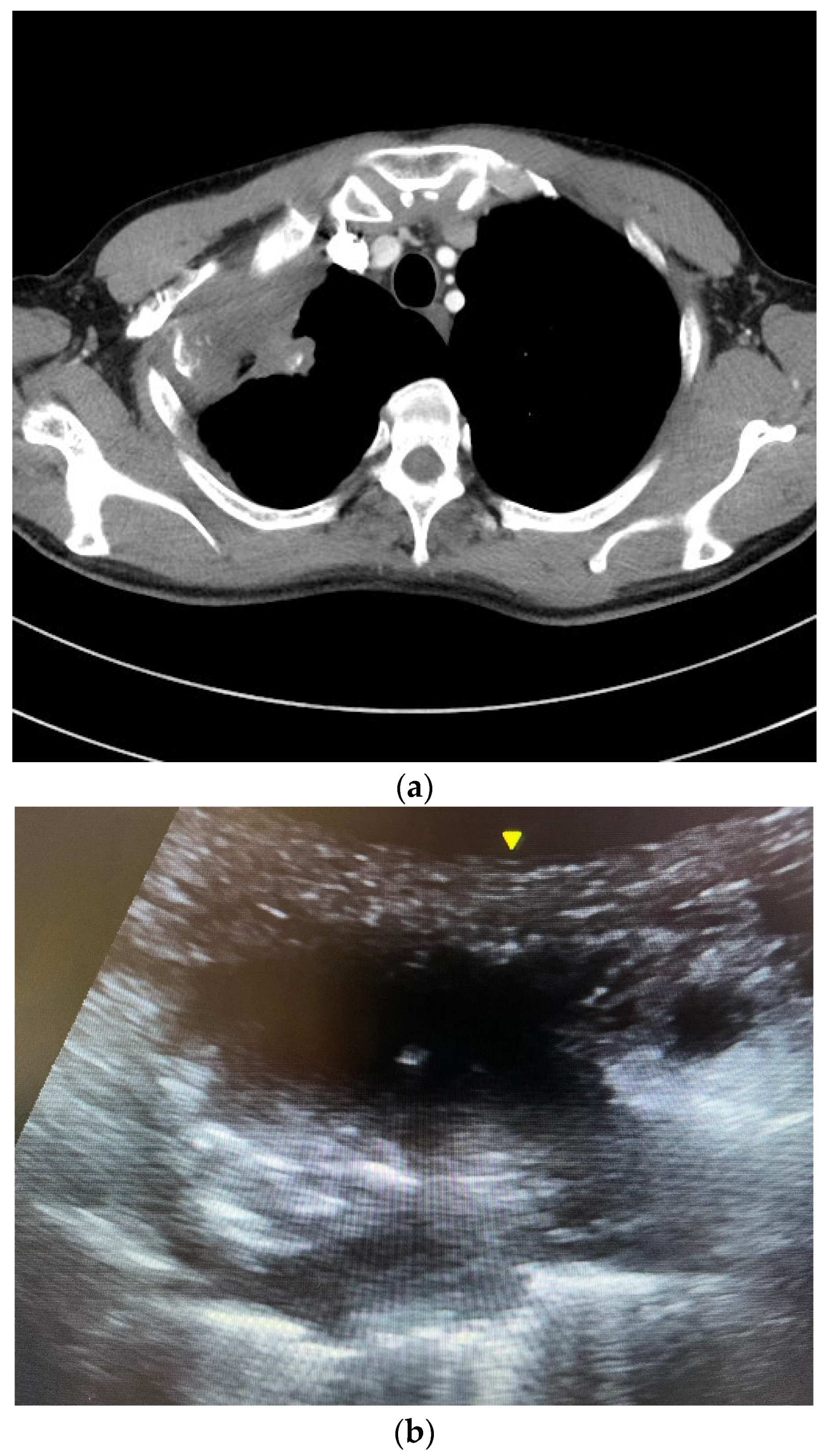 Reports 07 00026 g001a