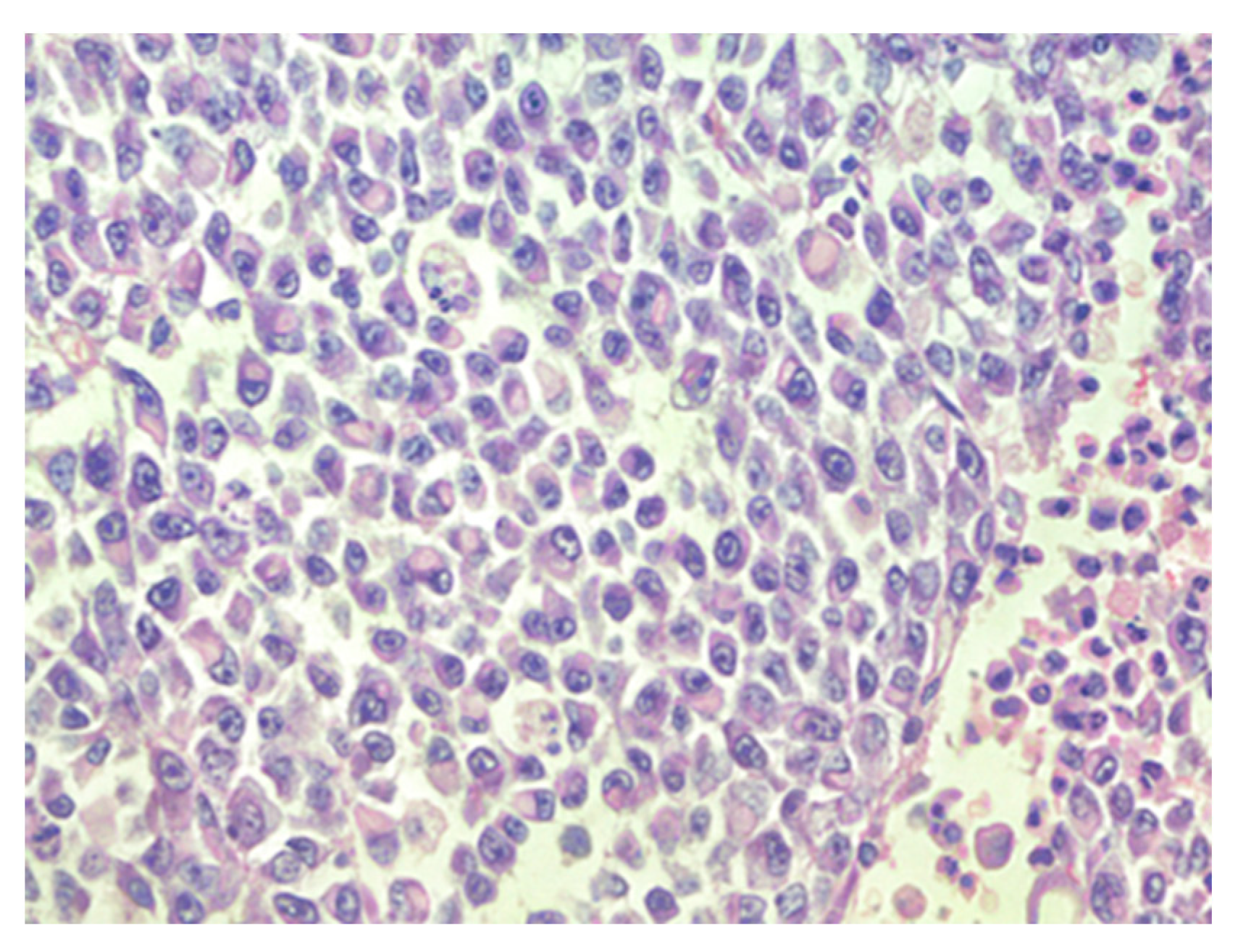 Reports 07 00028 g002 Reports 07 00028 g002