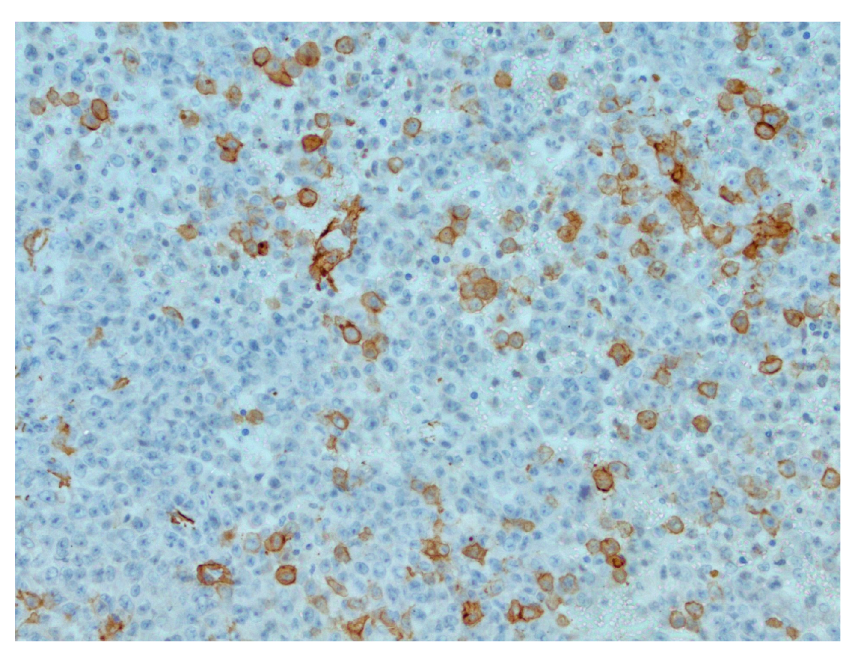 Reports 07 00028 g003 Reports 07 00028 g003