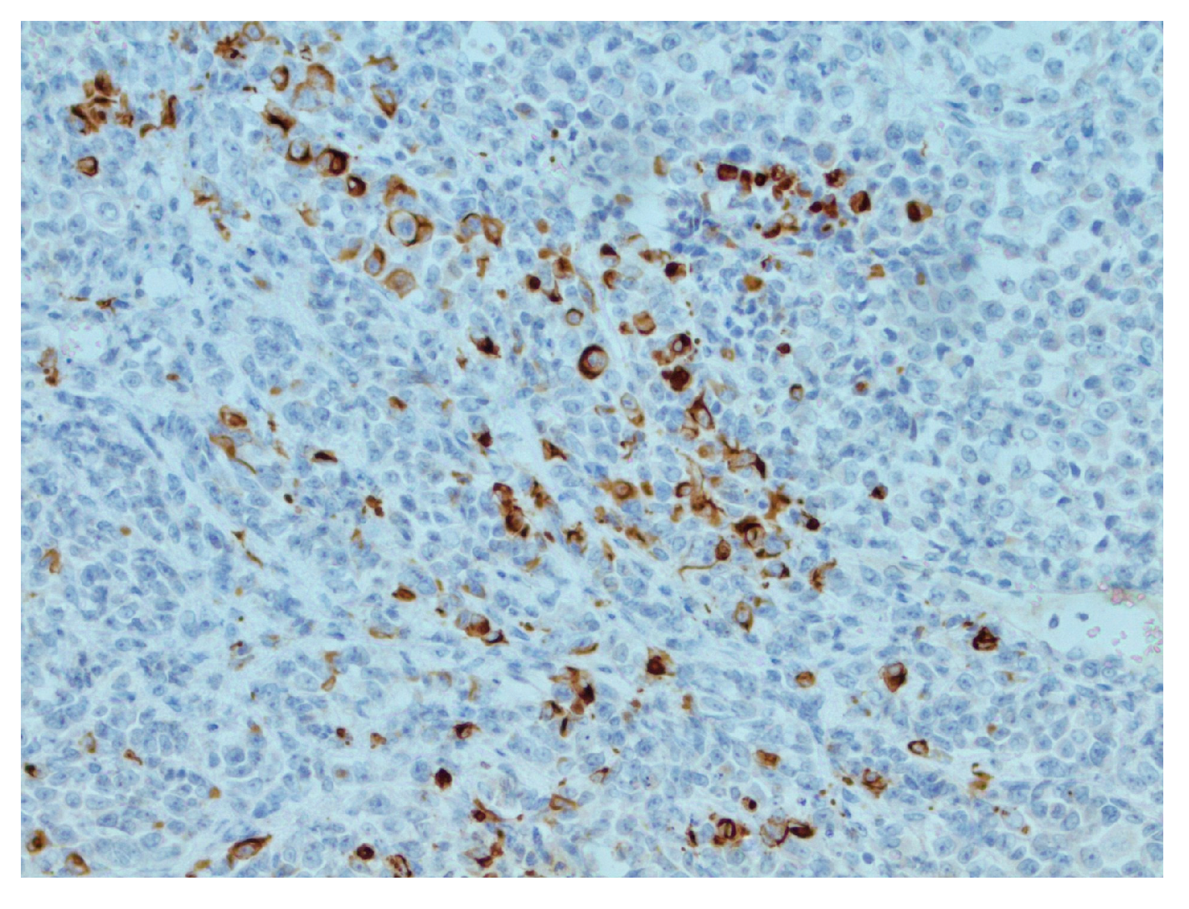 Reports 07 00028 g004 Reports 07 00028 g004