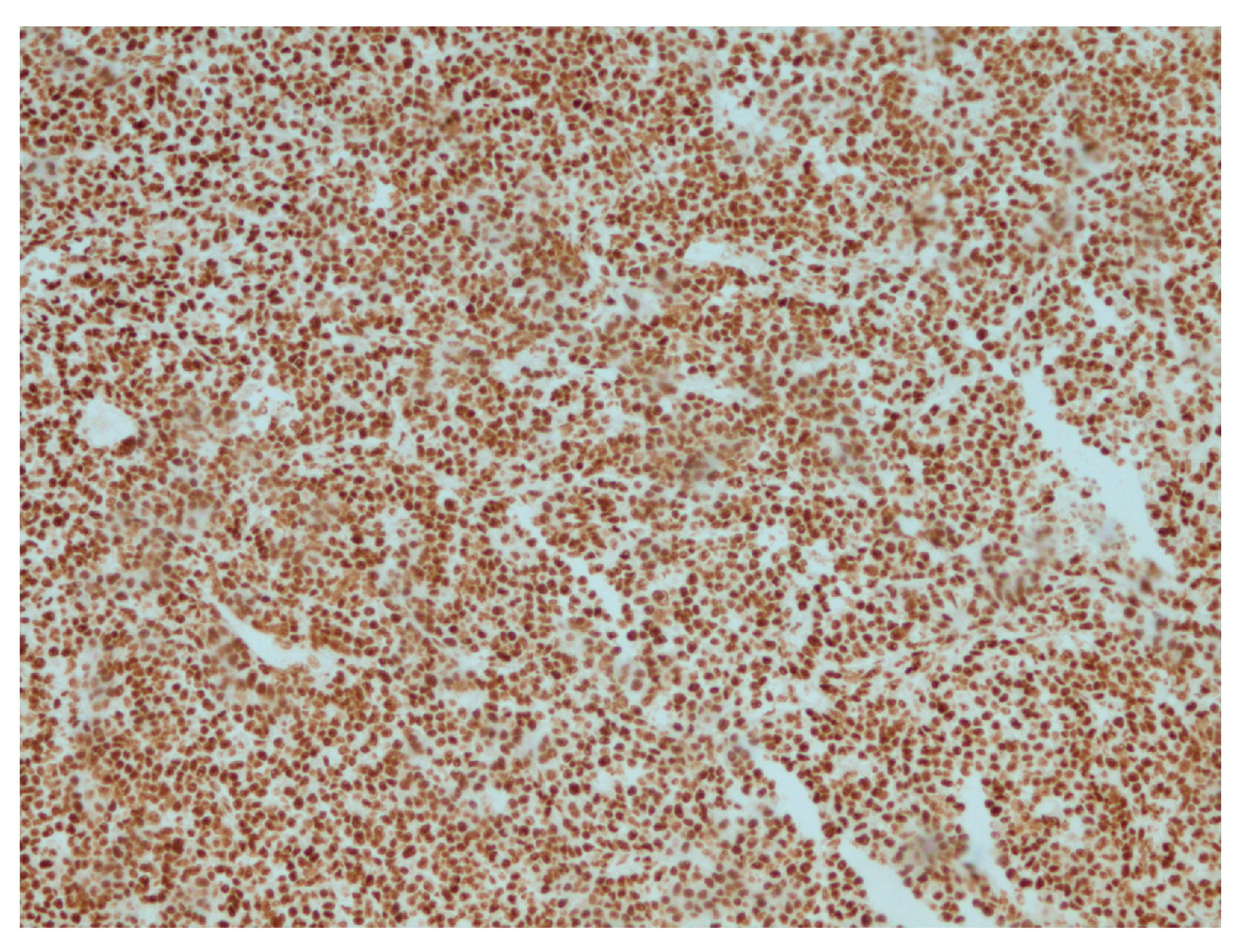 Reports 07 00028 g006 Reports 07 00028 g006