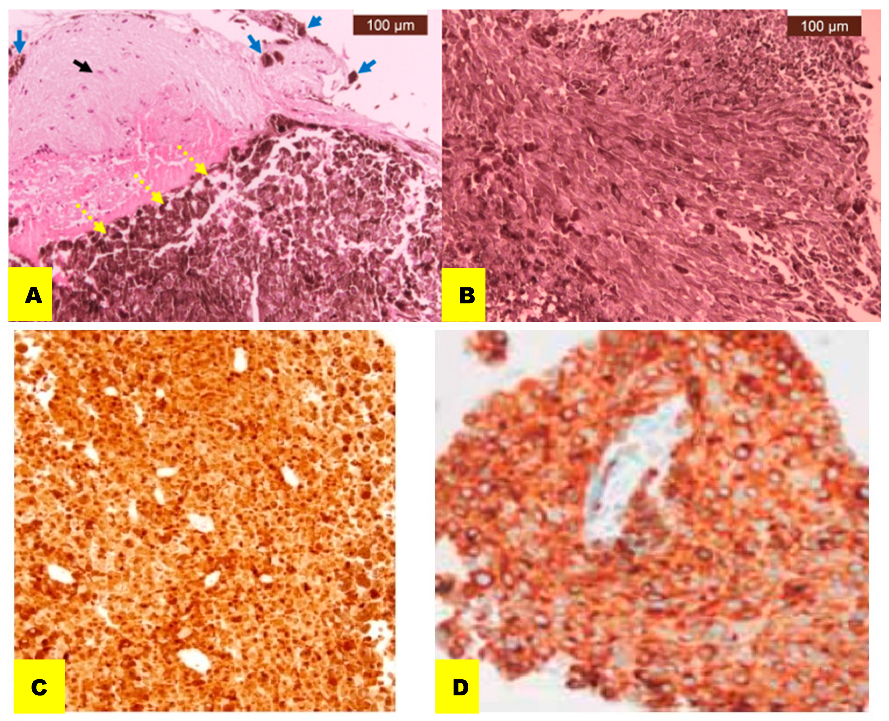 Reports 07 00049 g003 Reports 07 00049 g003