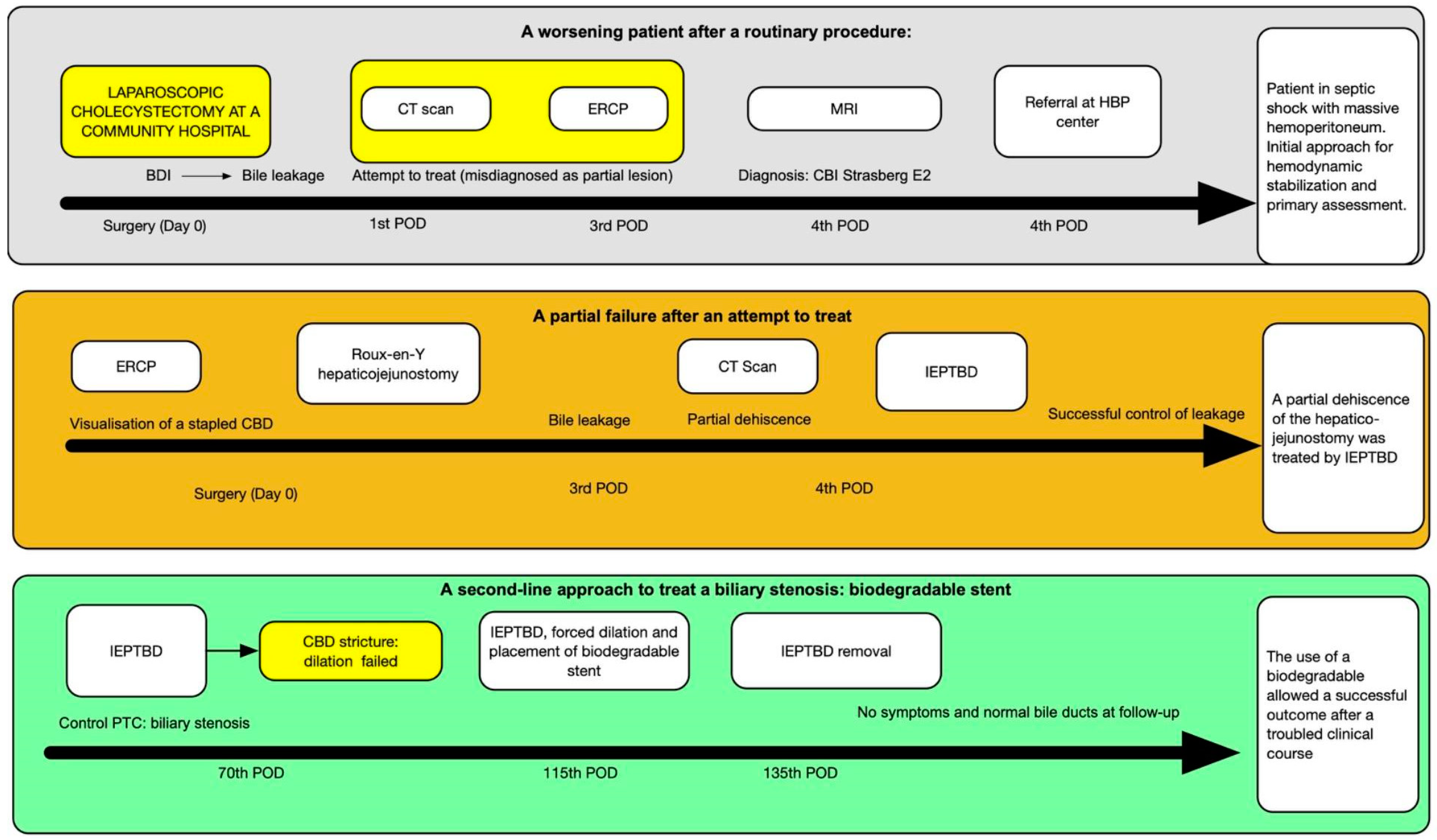 Reports 07 00095 g002