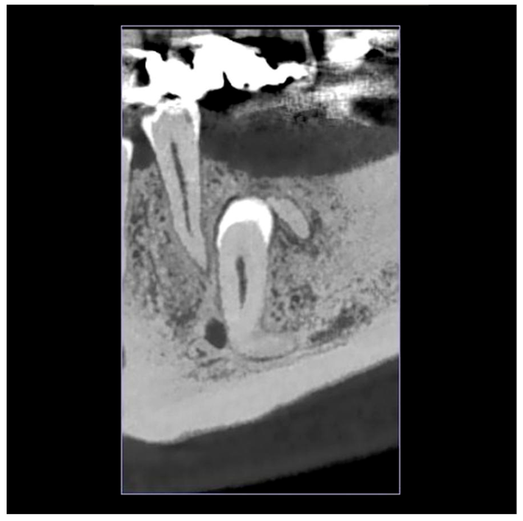 Reports 08 00177 g002 Reports 08 00177 g002