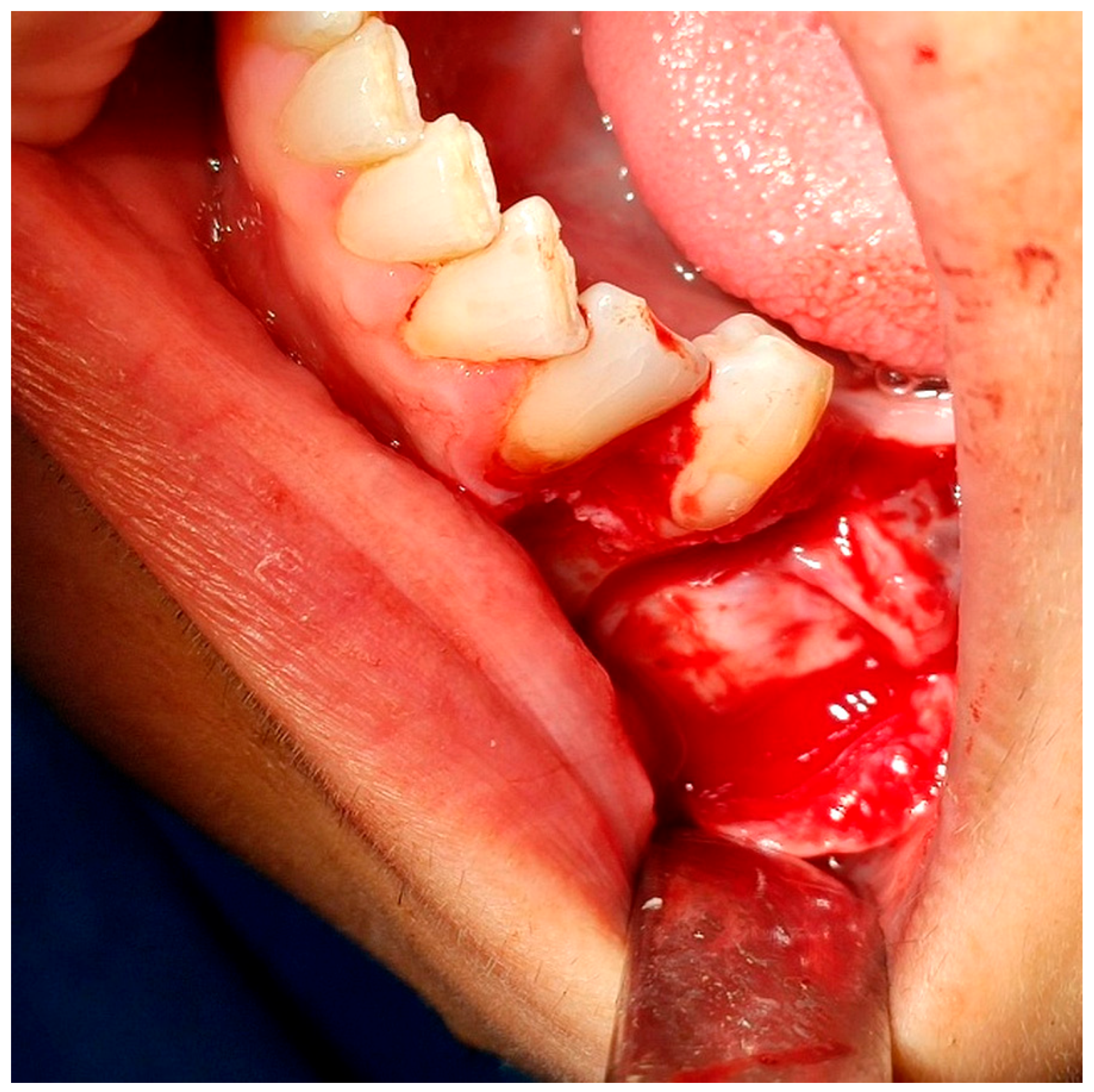 Reports 08 00177 g005 Reports 08 00177 g005