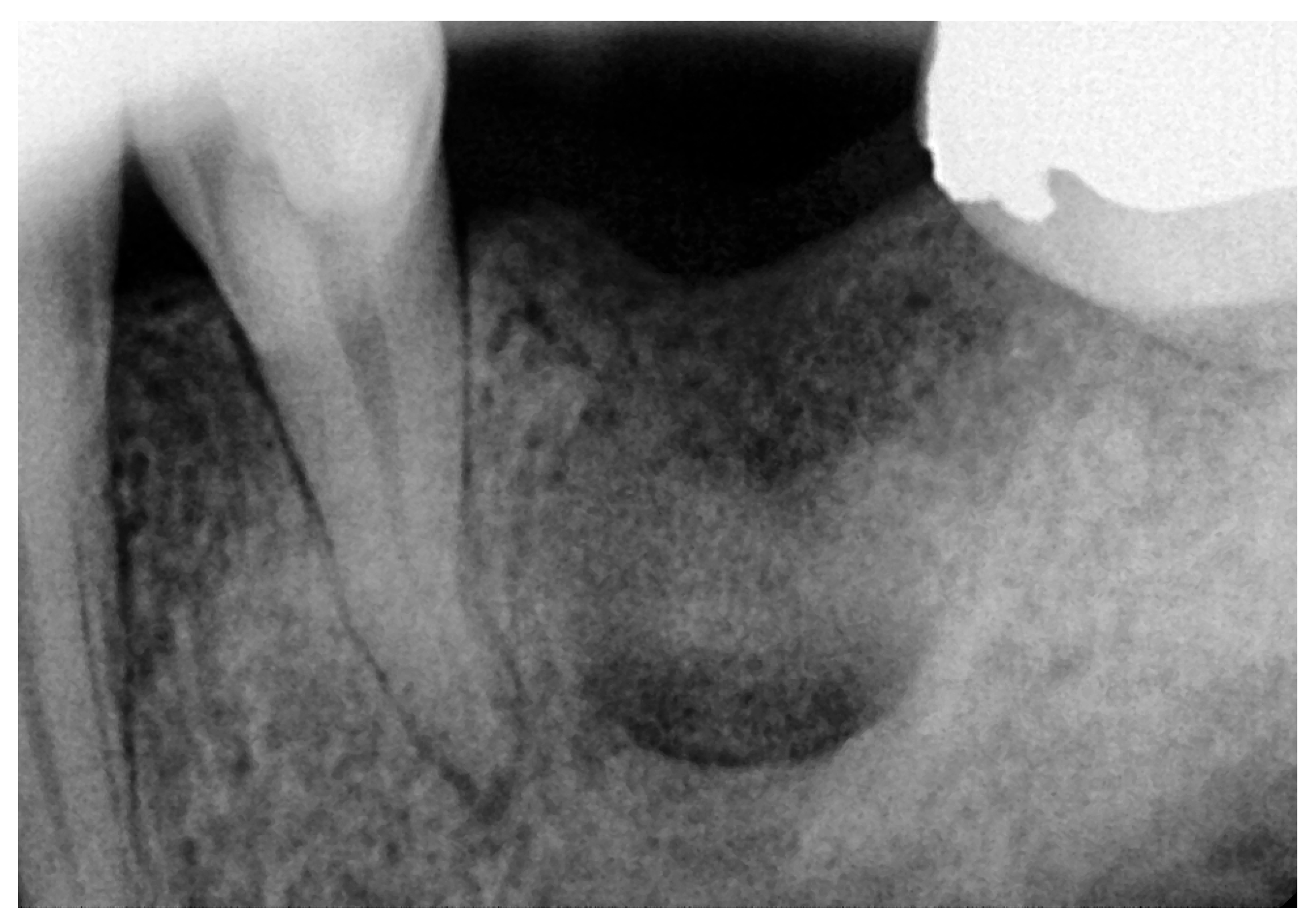 Reports 08 00177 g006 Reports 08 00177 g006