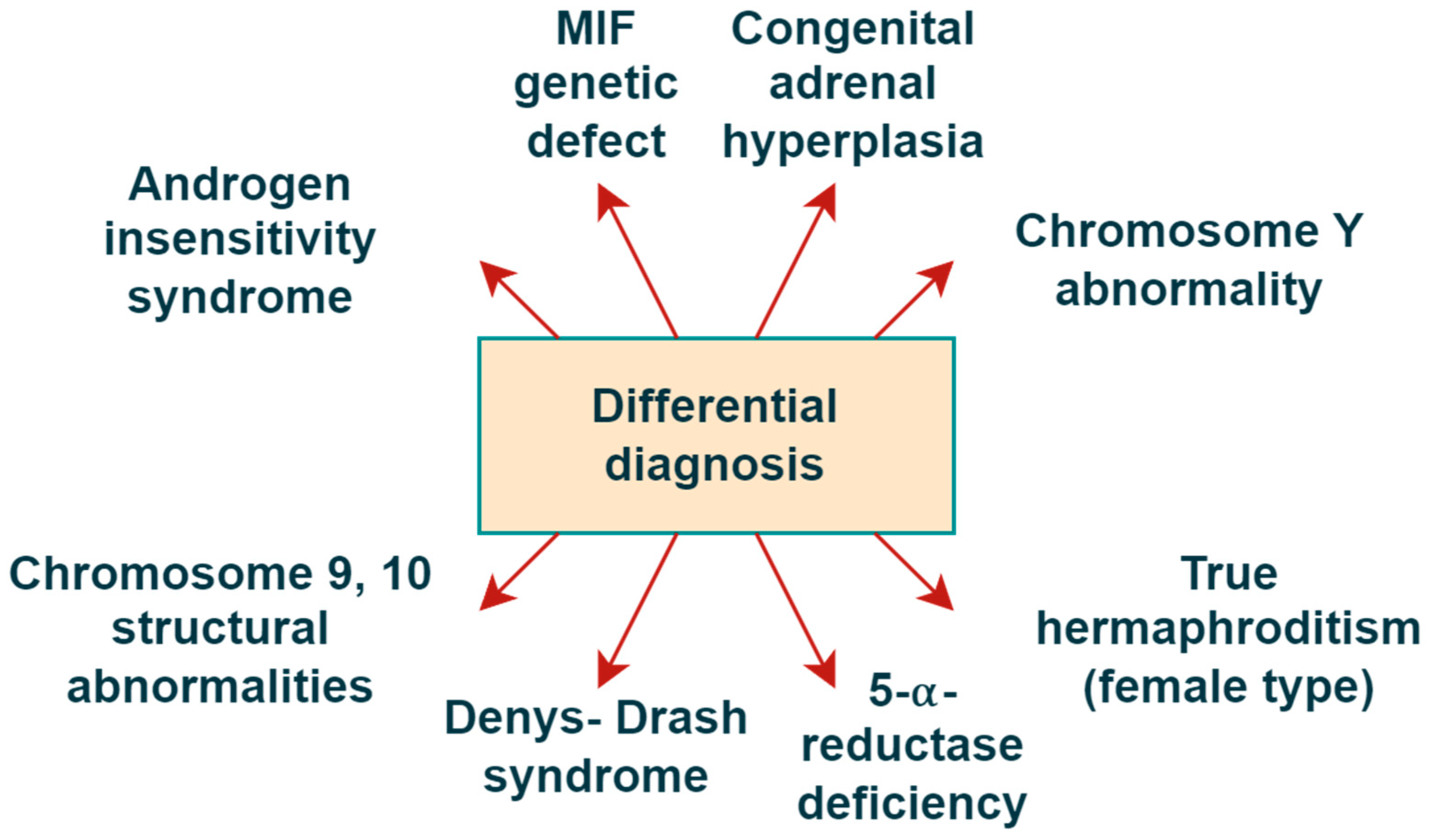 Reports 08 00212 g002 Reports 08 00212 g002