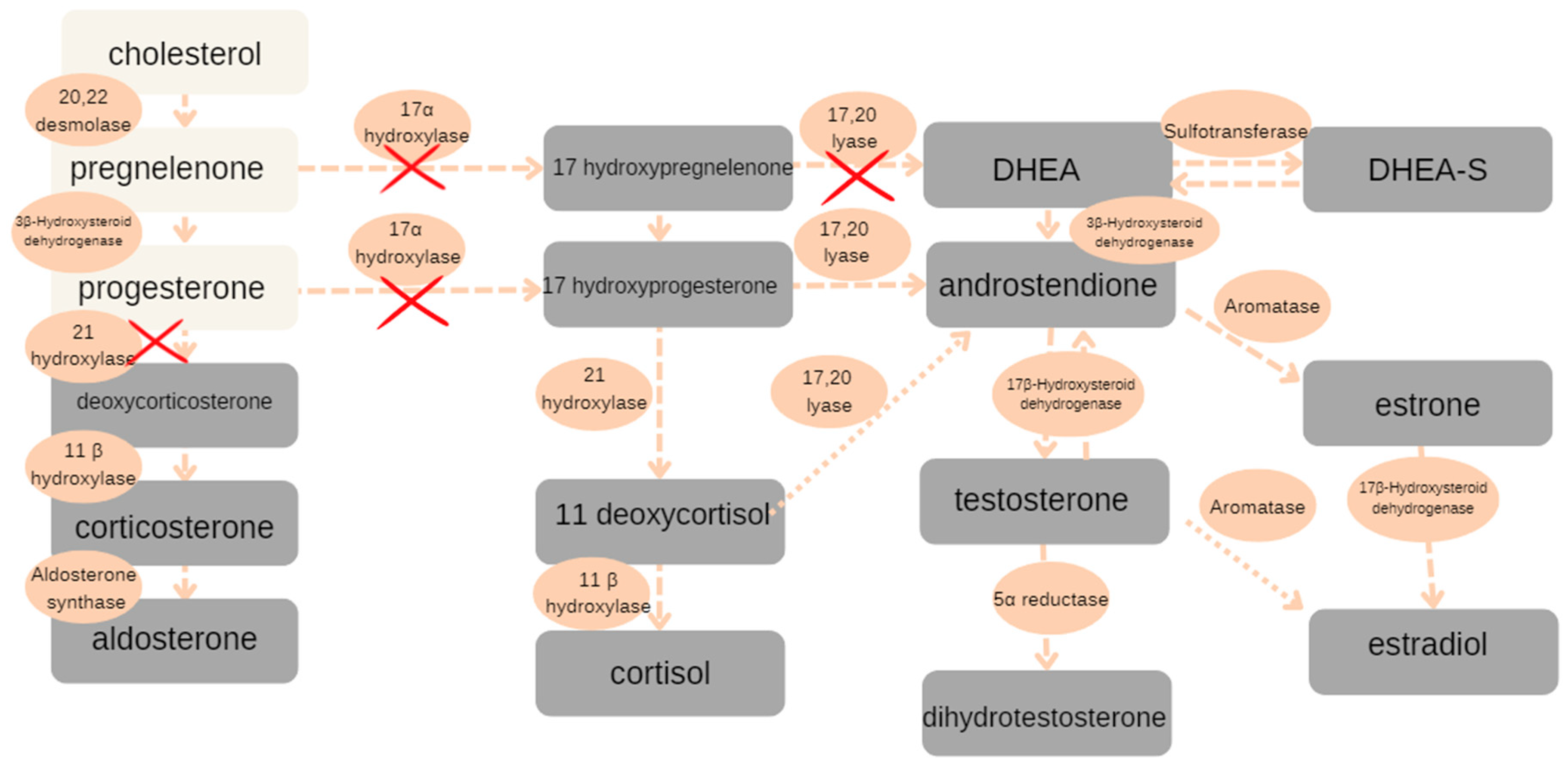 Reports 08 00212 g003 Reports 08 00212 g003
