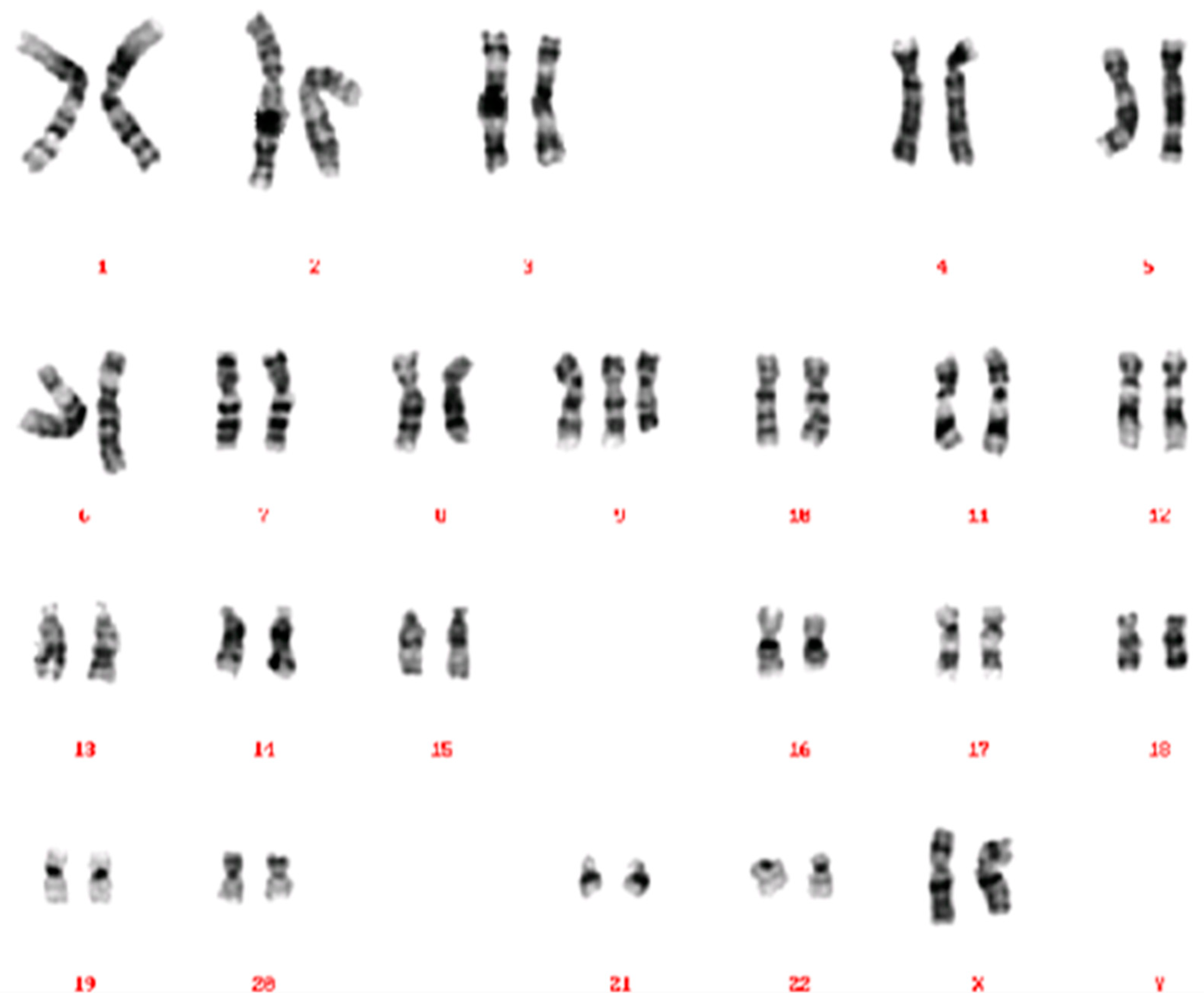 Reprodmed 03 00005 g003 Reprodmed 03 00005 g003