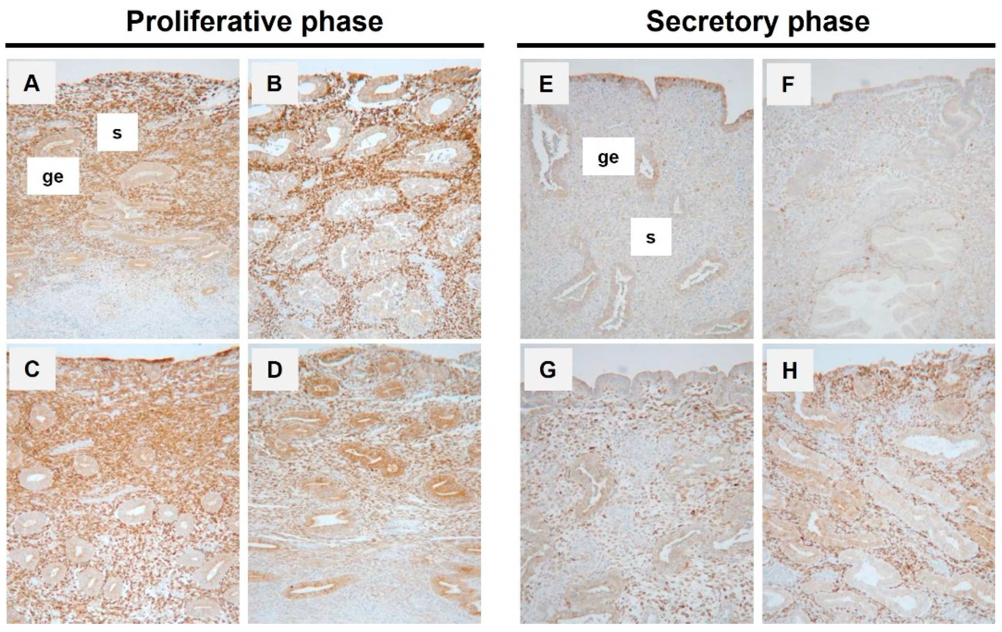 Reprodmed 03 00015 g001 Reprodmed 03 00015 g001