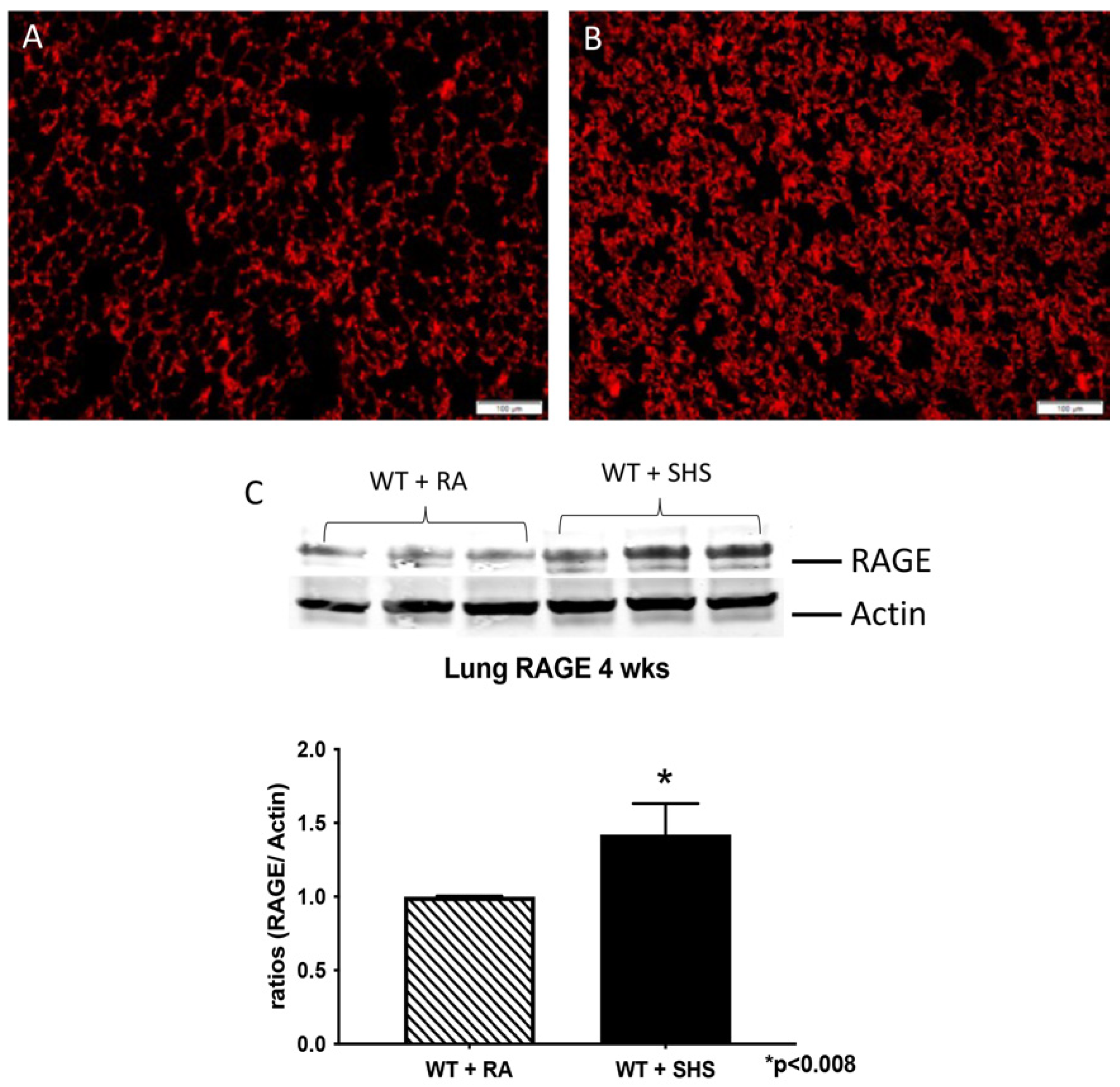 Reprodmed 05 00001 g004