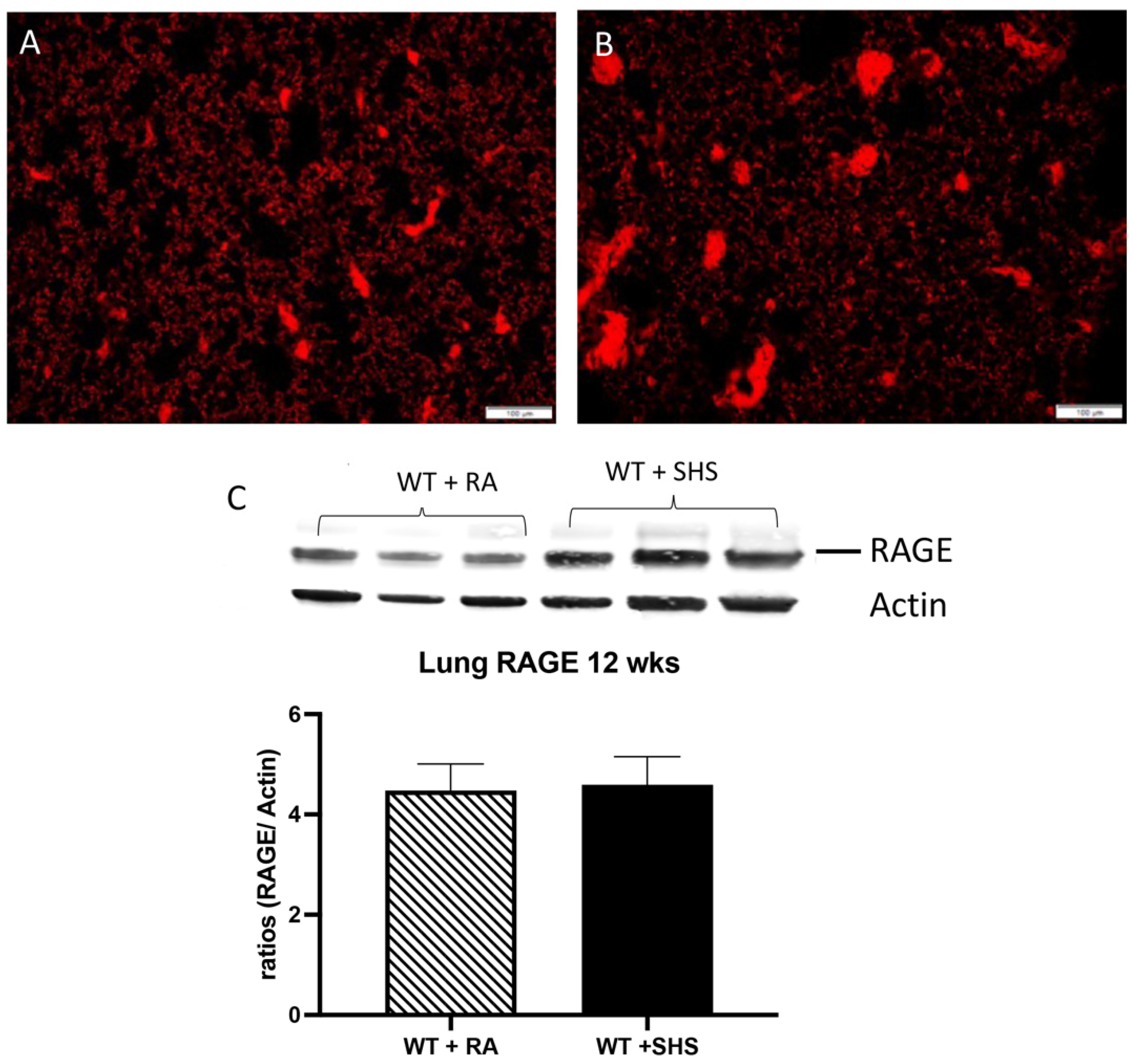Reprodmed 05 00001 g005