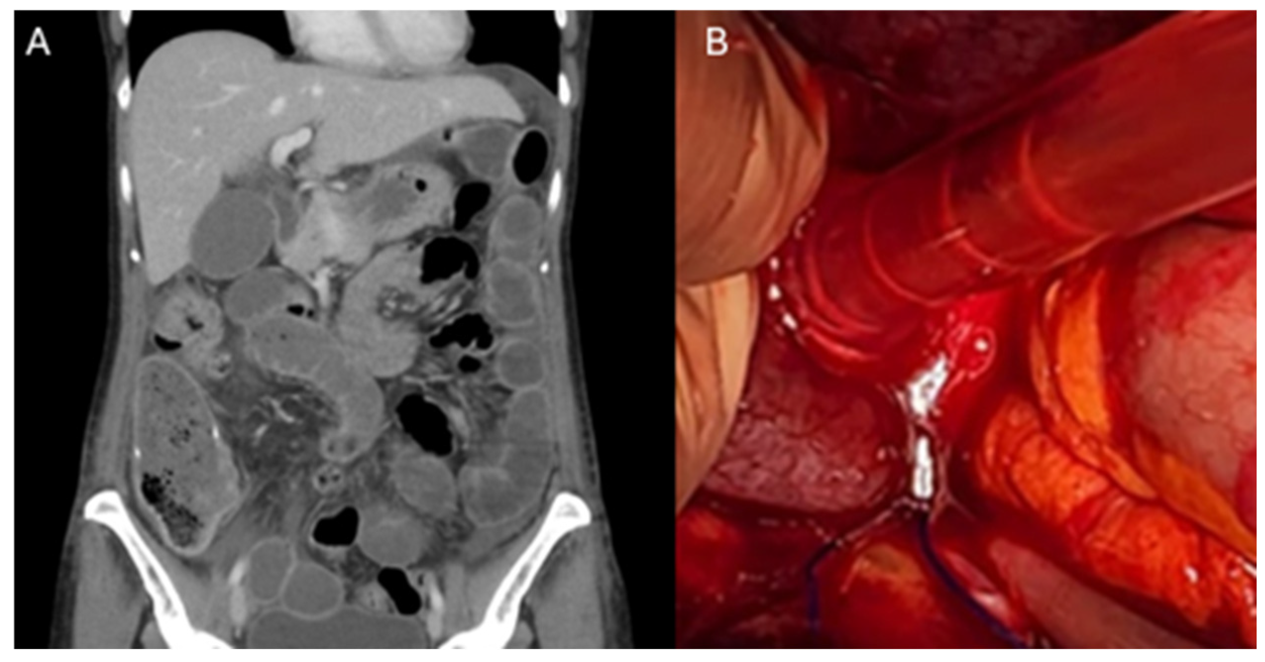 Reprodmed 06 00011 g002