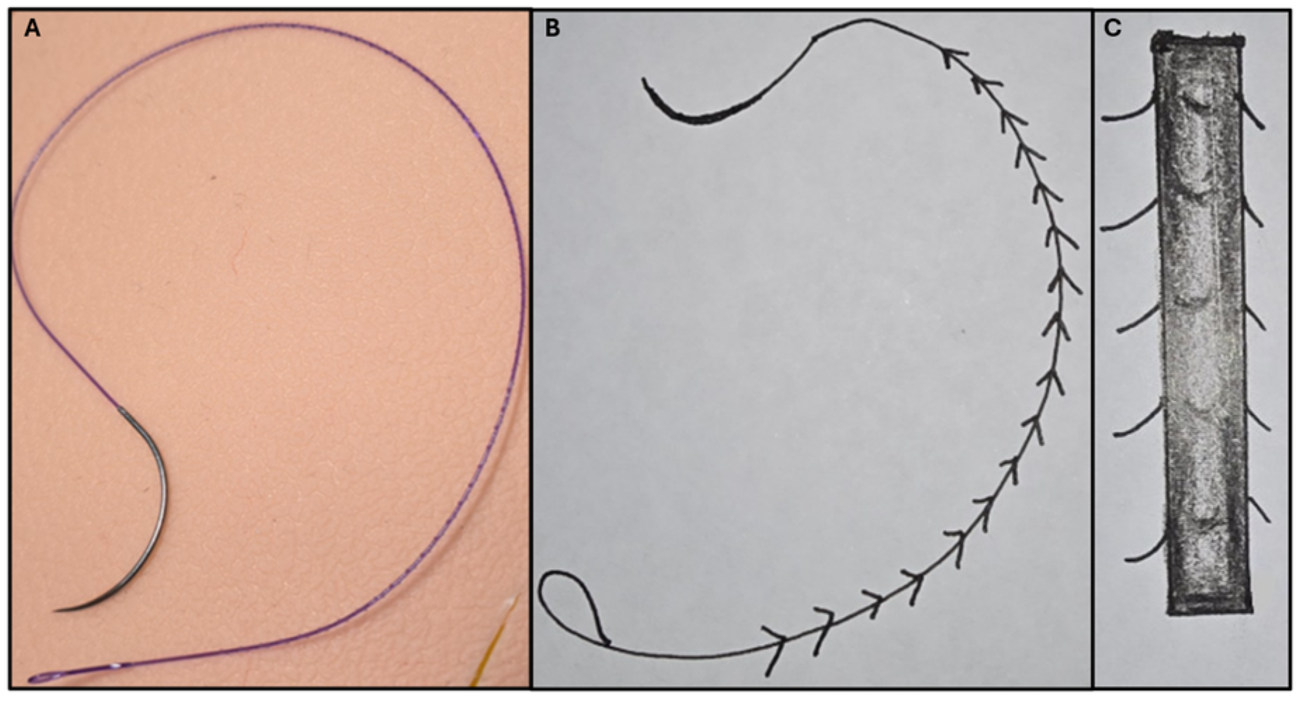 Reprodmed 06 00011 g003