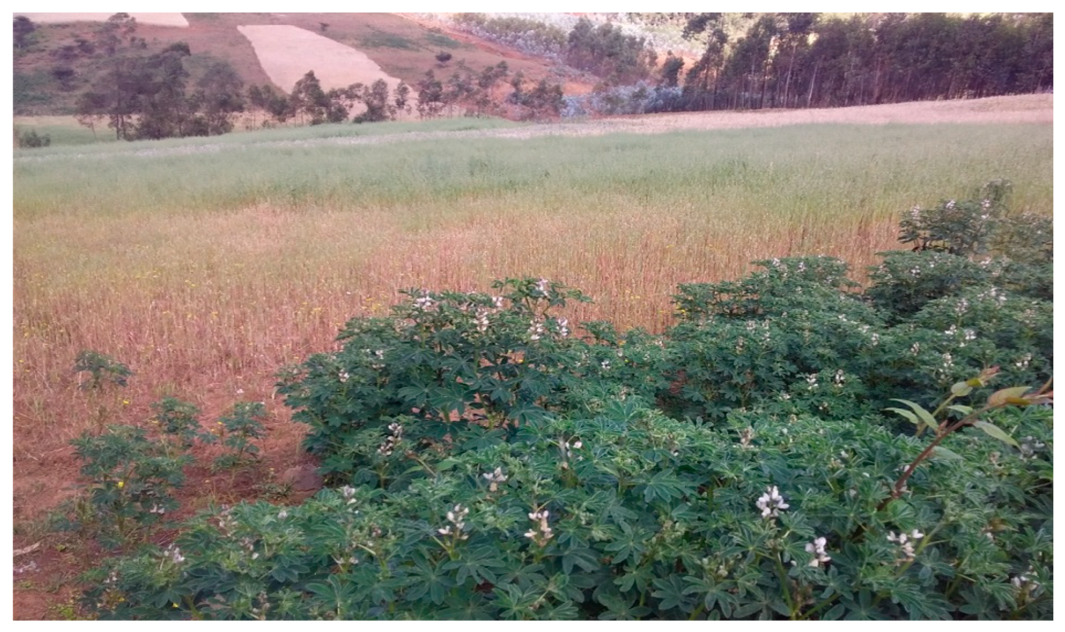 Resources 11 00071 g003