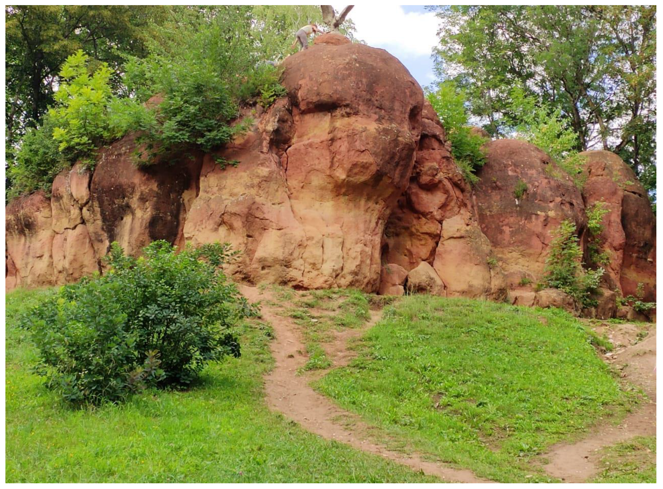 Resources 12 00061 g004 Resources 12 00061 g004