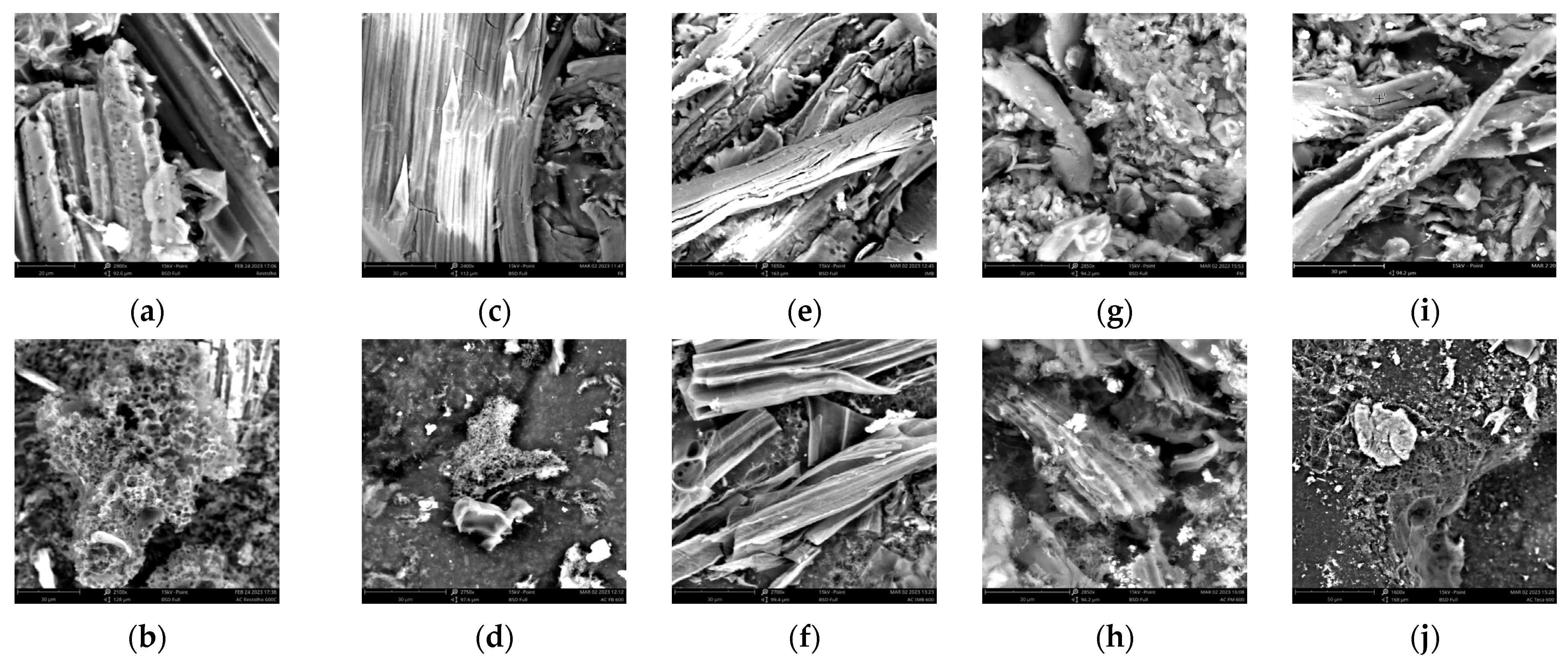 Resources 13 00037 g004