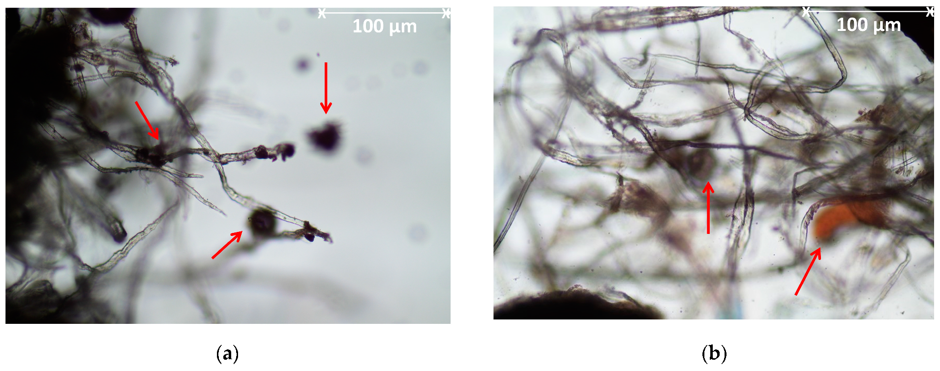 Resources 13 00051 g001