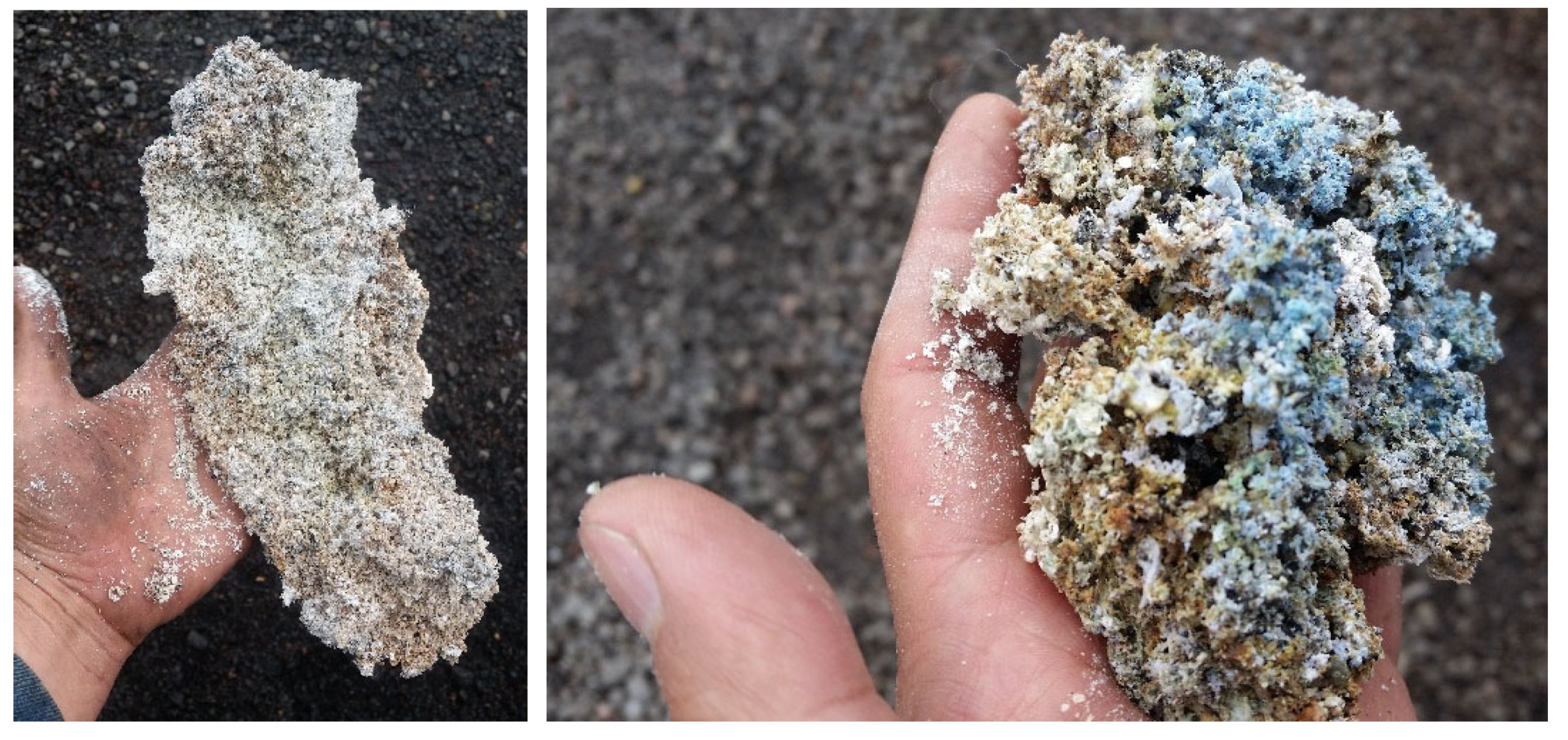 Resources 13 00142 g005