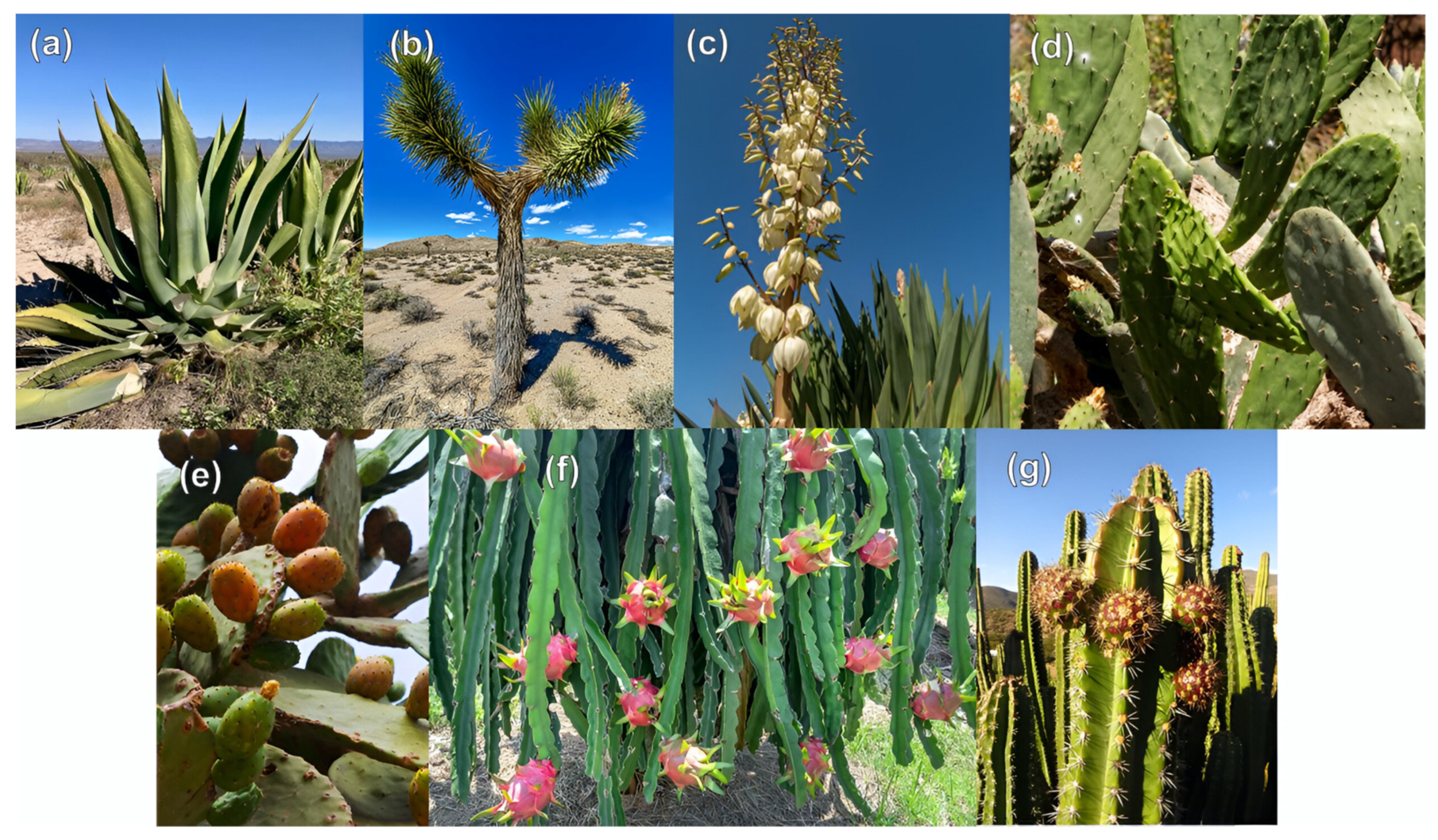 Resources 14 00013 g001