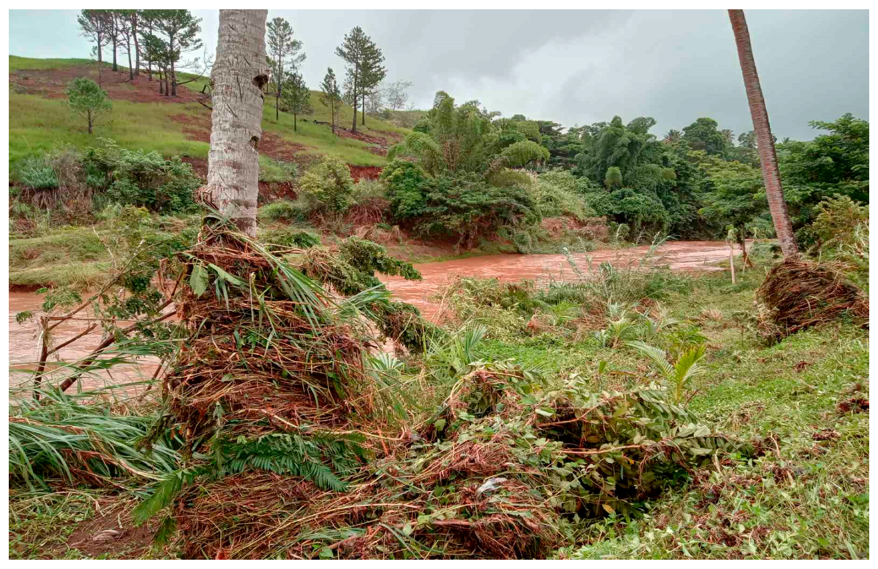 Resources 14 00020 g011 Resources 14 00020 g011