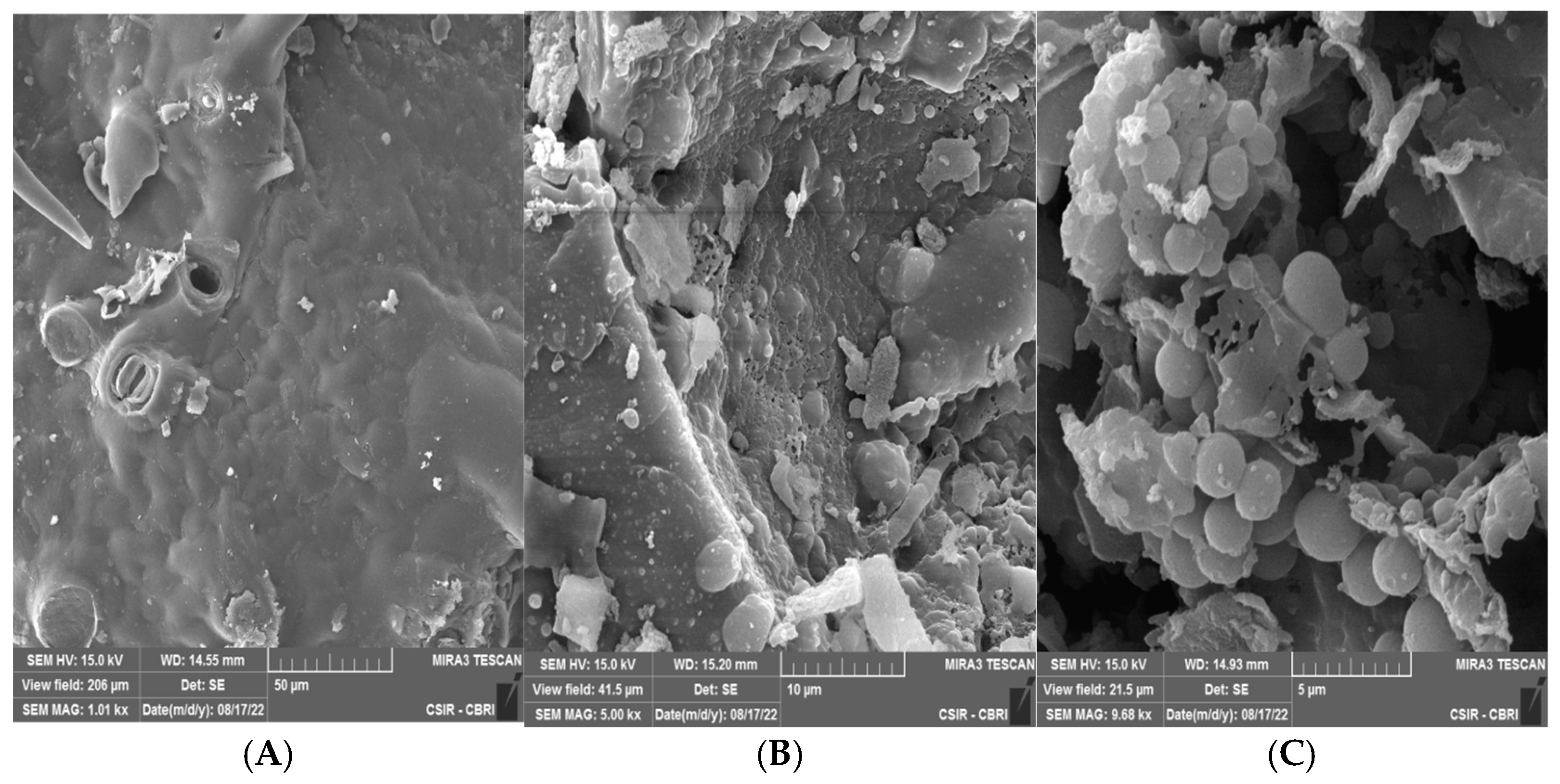 Resources 14 00034 g007