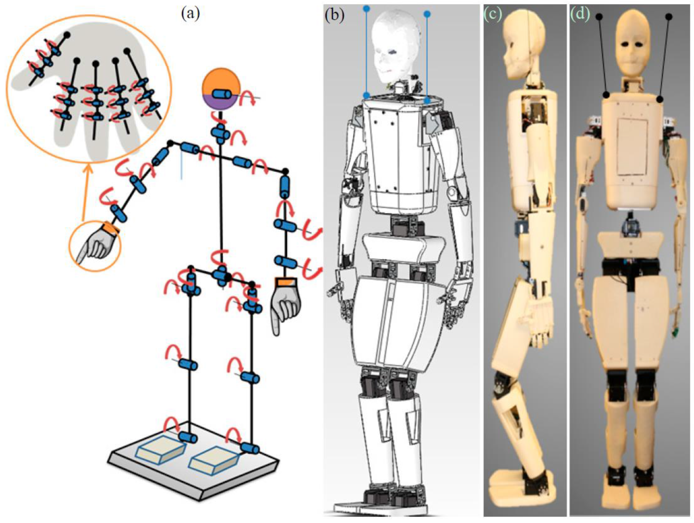 Robotics | Free Full-Text | HBS-1: A Modular Child-Size 3D Printed Humanoid