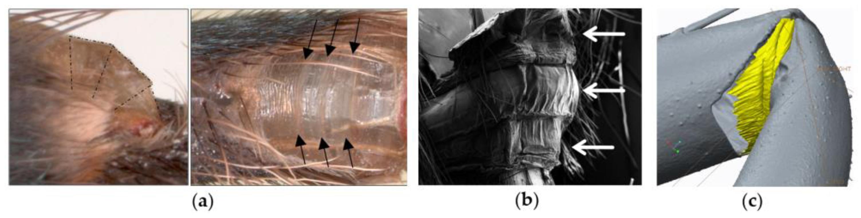 Robotics 05 00015 g003