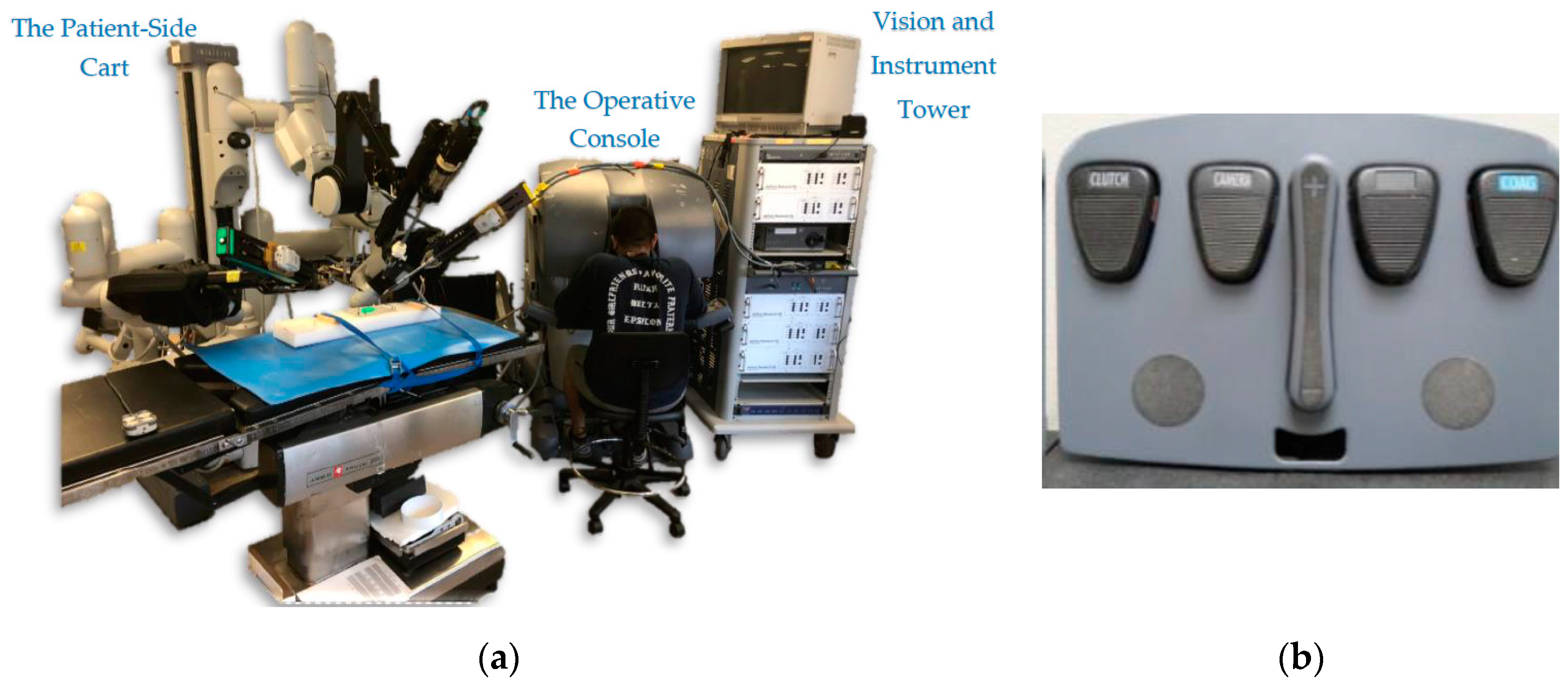Robotics | Free Full-Text | Remote Presence: Development and Usability  Evaluation of a Head-Mounted Display for Camera Control on the da Vinci  Surgical System