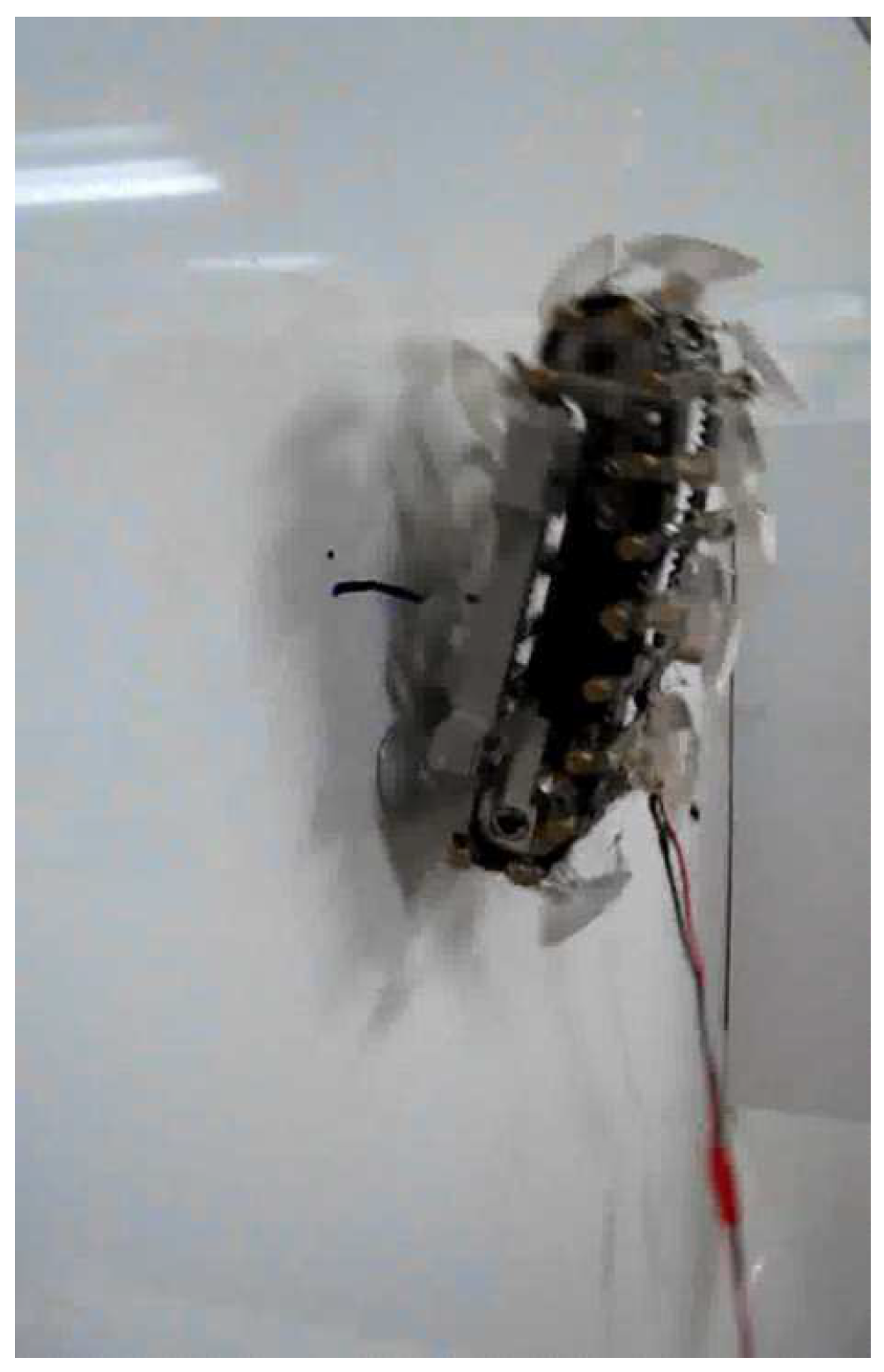 Robotics | Free Full-Text | A Pressing Attachment Approach for a  Wall-Climbing Robot Utilizing Passive Suction Cups