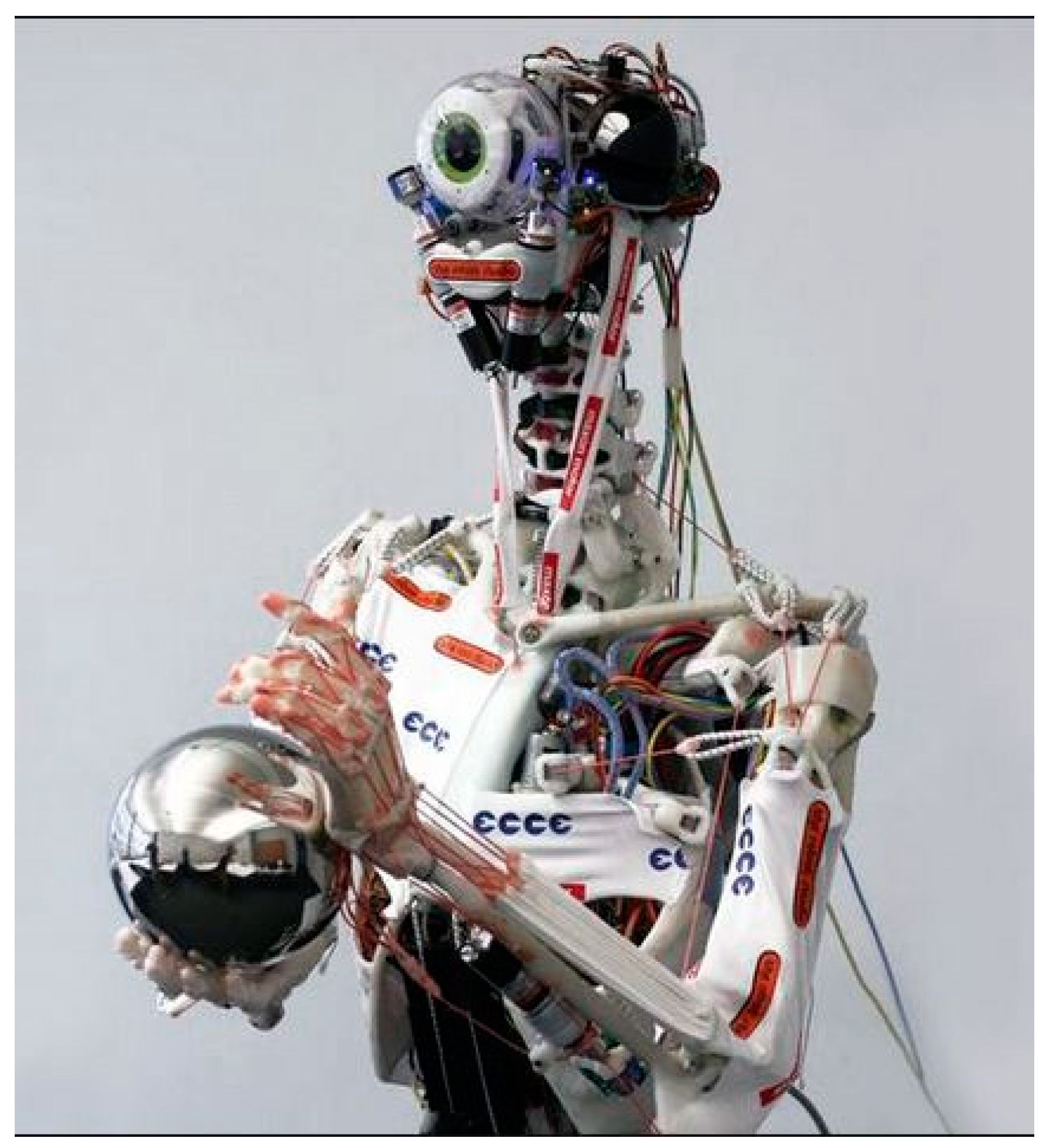 Robotics | Free Full-Text | Is Artificial Man Still Far Away:  Anthropomimetic Robots Versus Robomimetic Humans