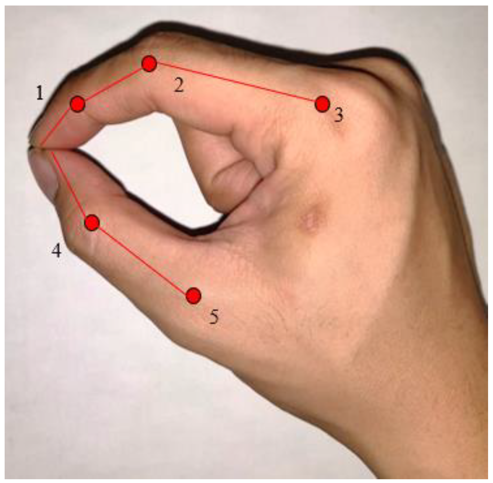 Hand grip patterns. (a) Precision grip, four fingers and thumb are flex