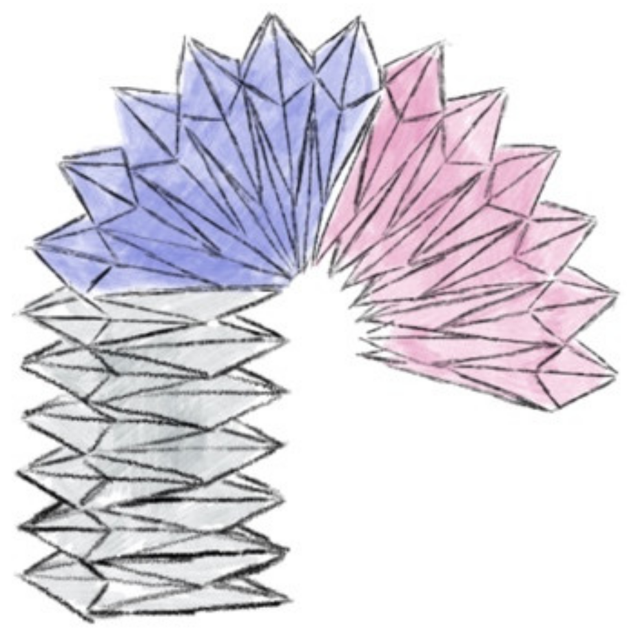 Robotics 11 00057 g004