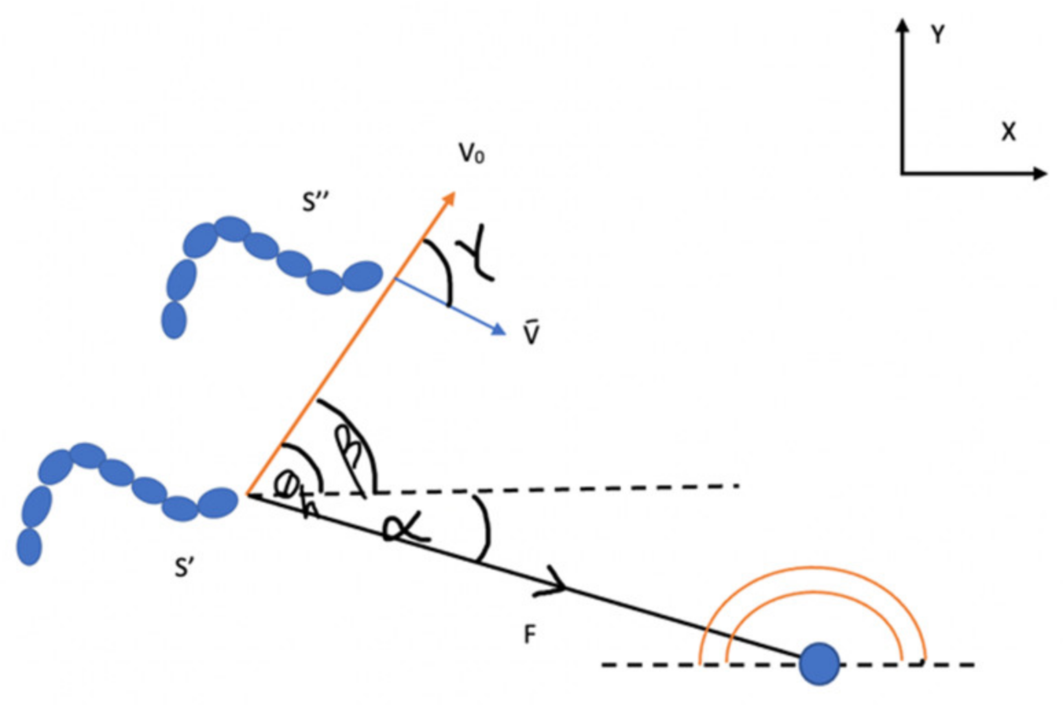 Robotics 11 00057 g008